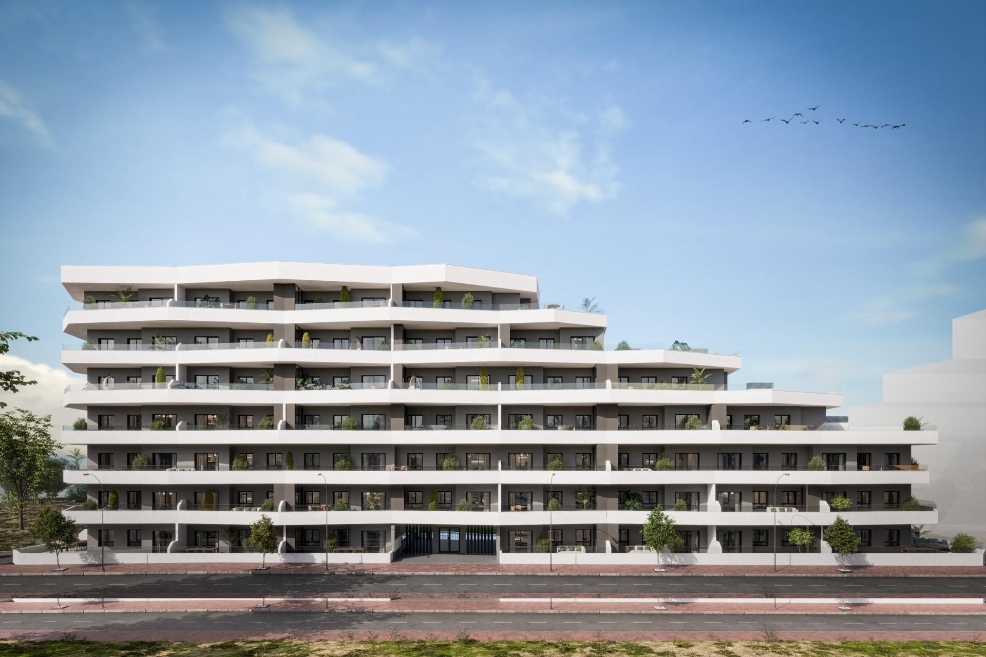 Новое здание - Apartment - San Miguel de Salinas - Pueblo