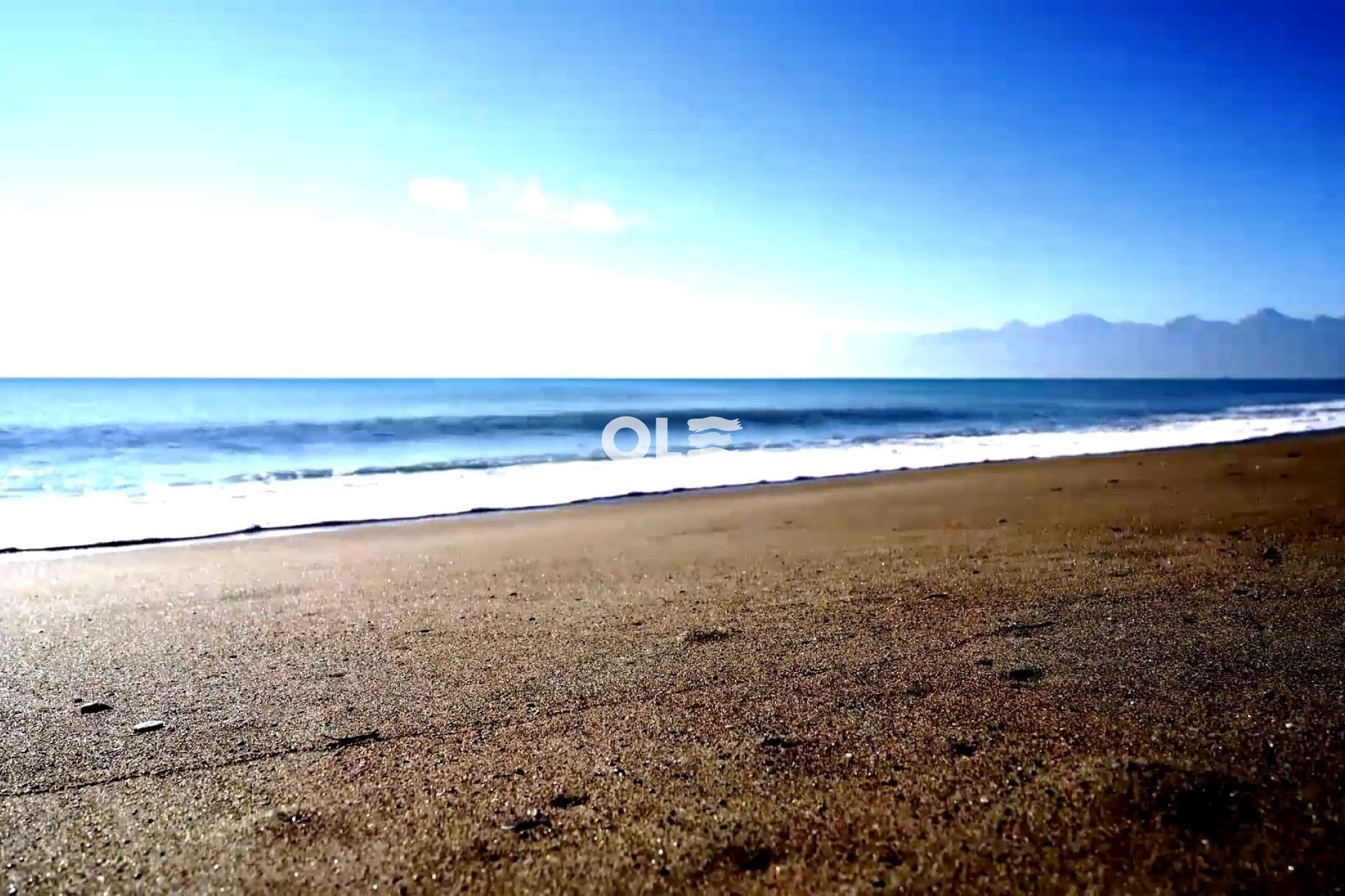 Новое здание - Apartment - Torrevieja - Centro