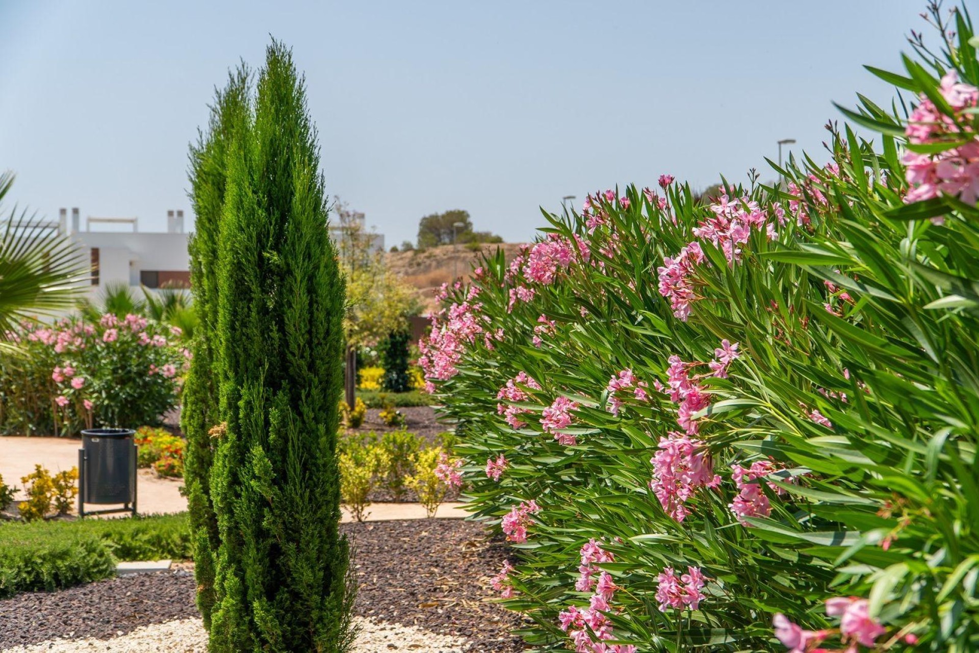 Новое здание - Бунгало - Orihuela Costa - Vistabella Golf