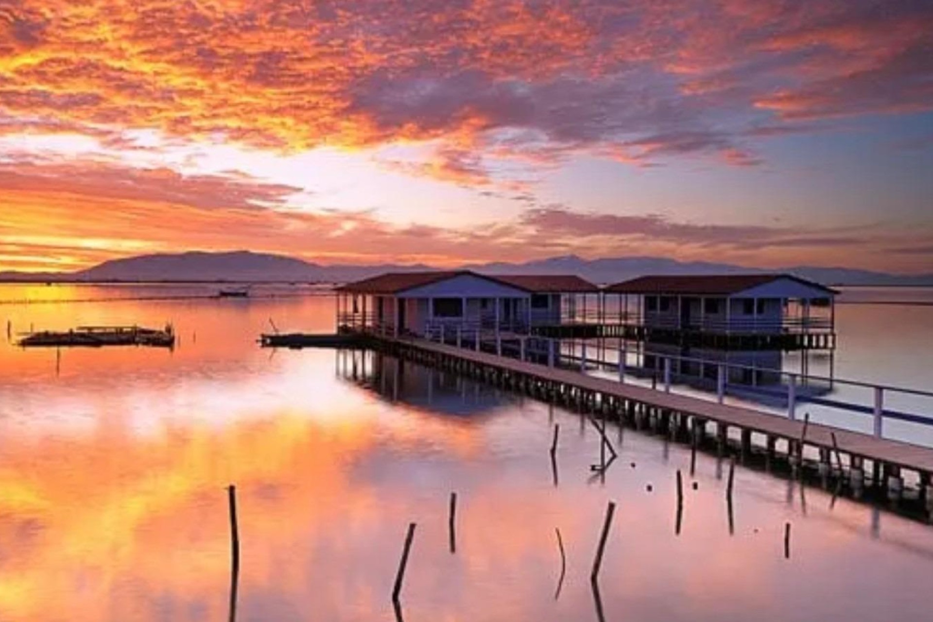 Новое здание - Бунгало - San Pedro del Pinatar - Los Pinos