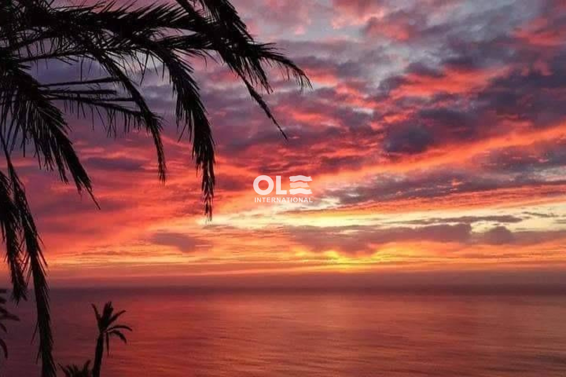 Новое здание - Бунгало - Torrevieja - Altos del Sol