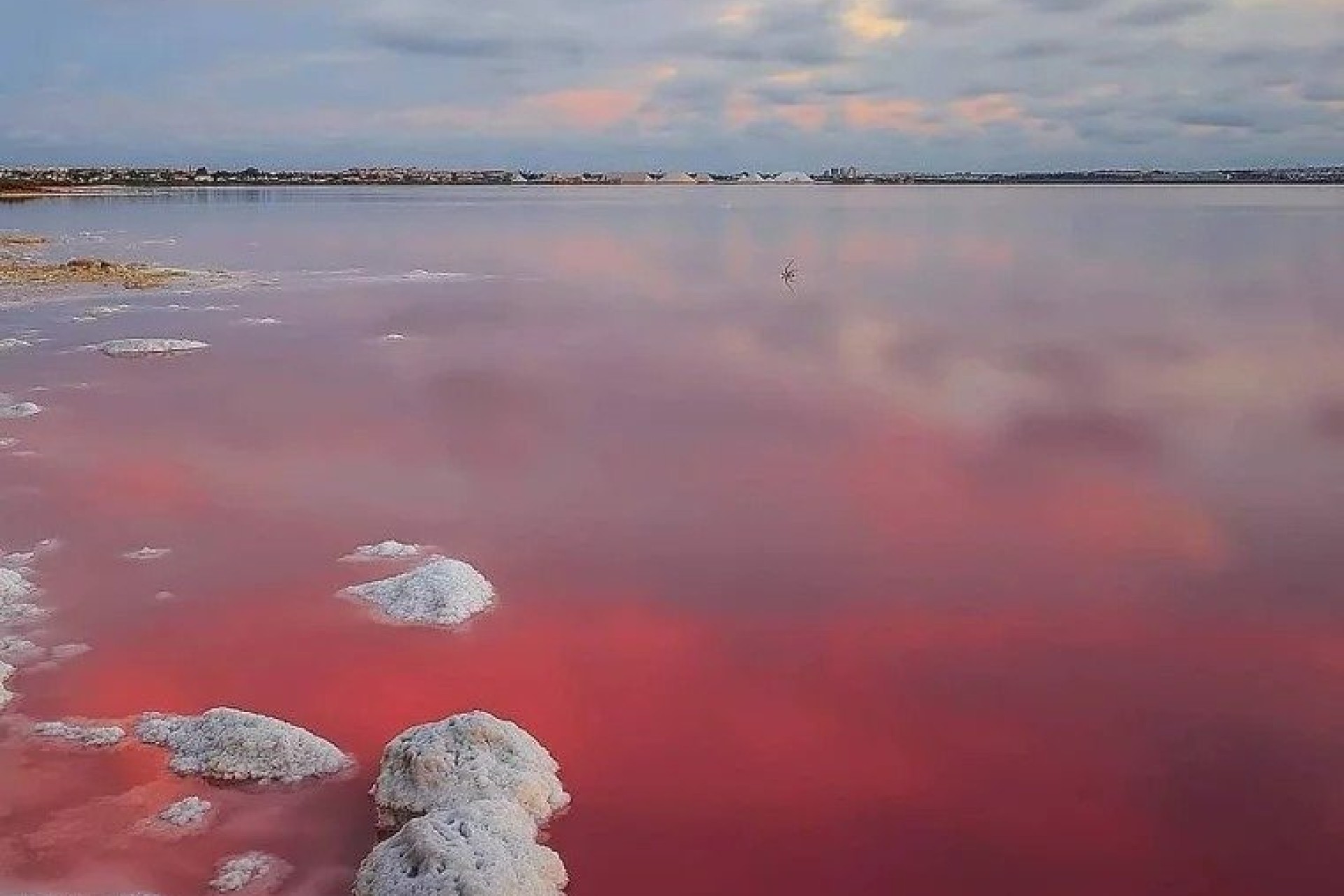 Новое здание - Бунгало - Torrevieja - Lago Jardín II