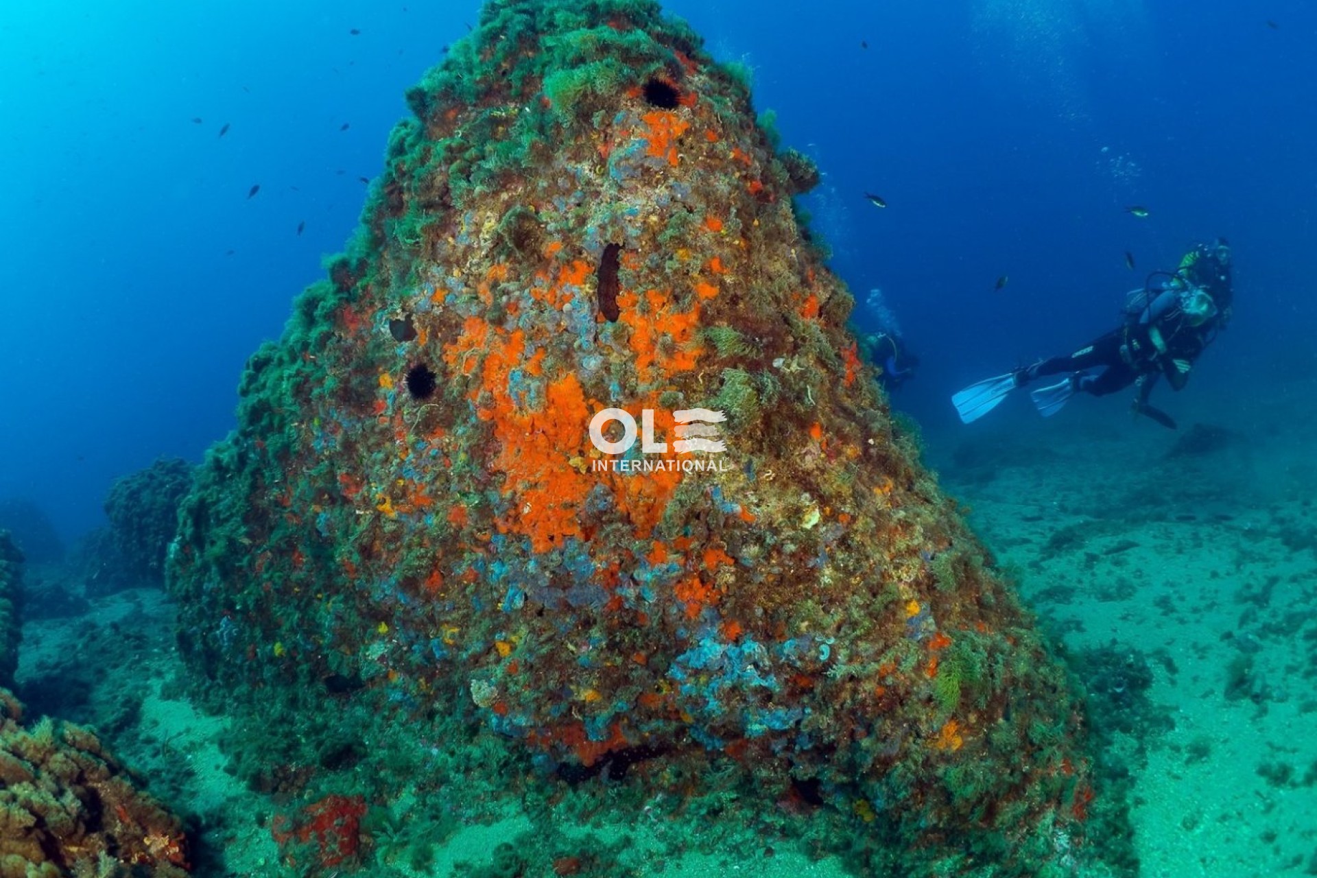 Новое здание - Пентхаус - Aguilas - Isla Del Fraile