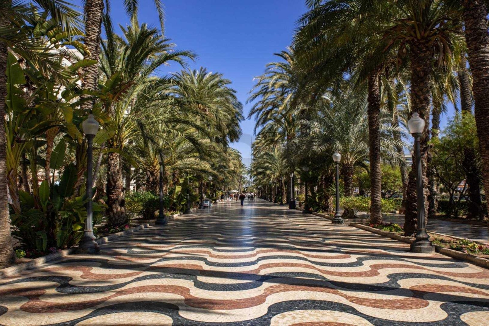 Новое здание - Пентхаус - Alicante - Centro