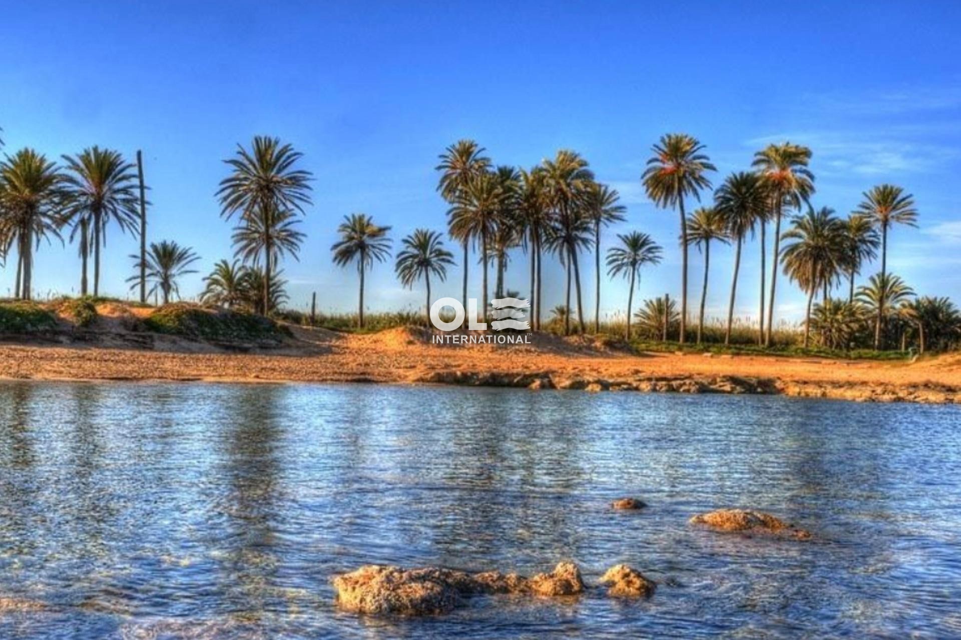 Новое здание - Пентхаус - Torrevieja - Playa de El Cura
