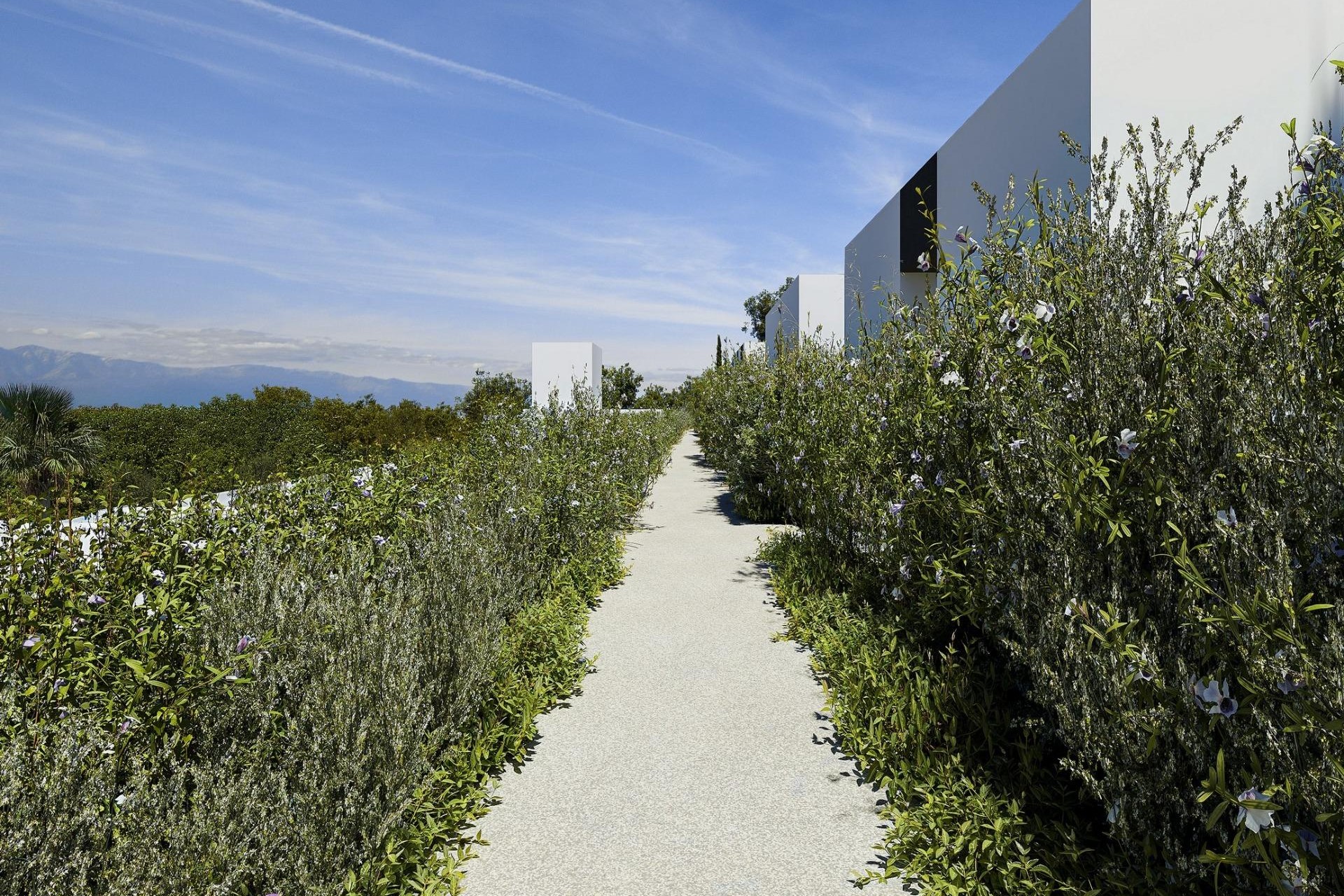 Новое здание - Villa - Alfas del Pí - Barranc Fondo