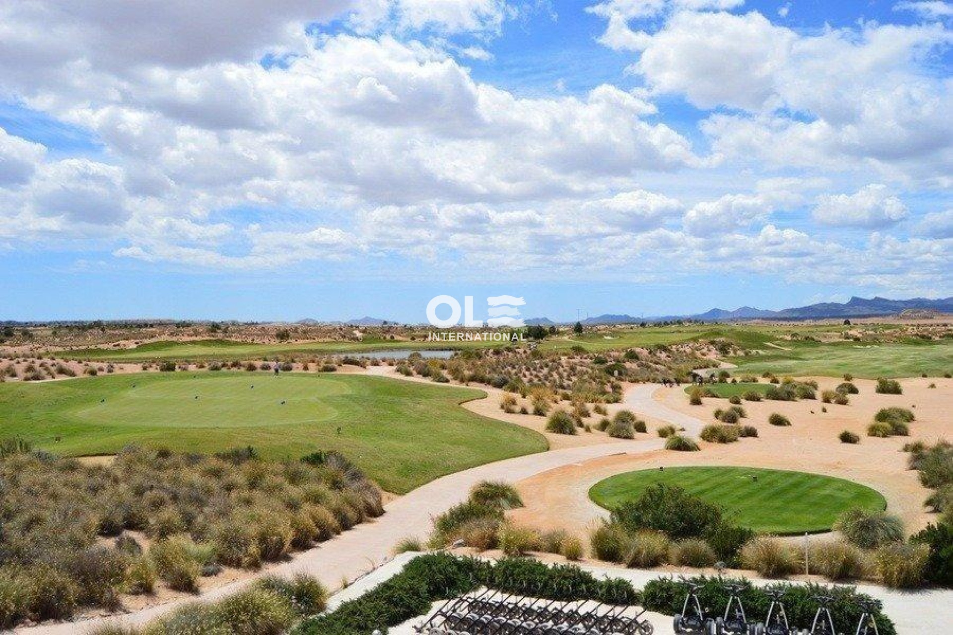 Новое здание - Villa - Alhama De Murcia - Condado De Alhama