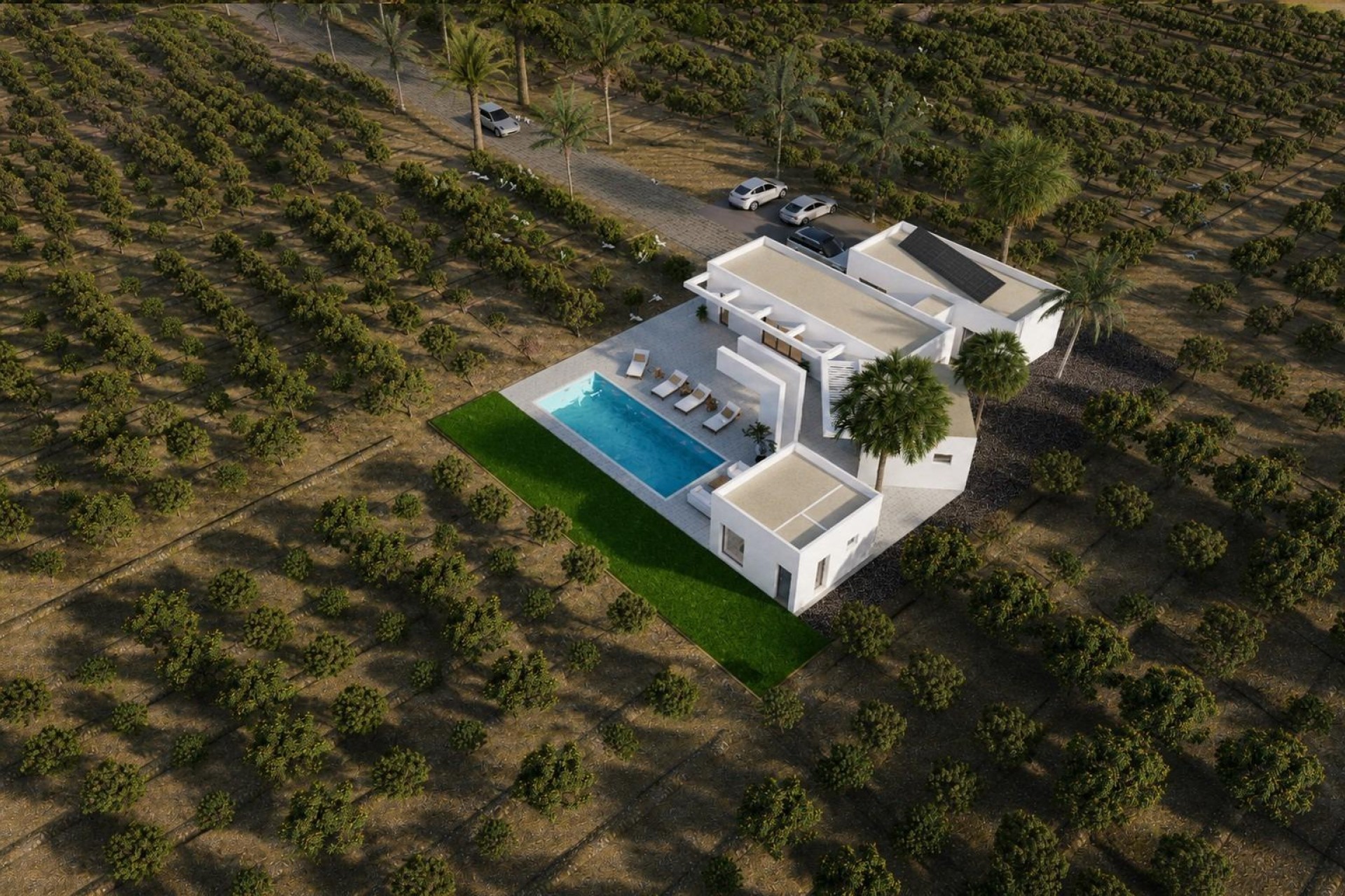 Новое здание - Villa - Benejúzar - alta