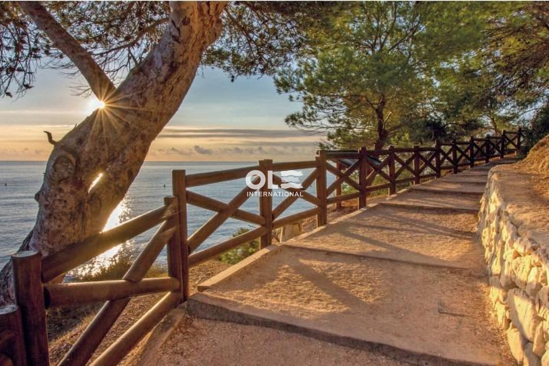 Новое здание - Villa - Benissa - Cala Advocat
