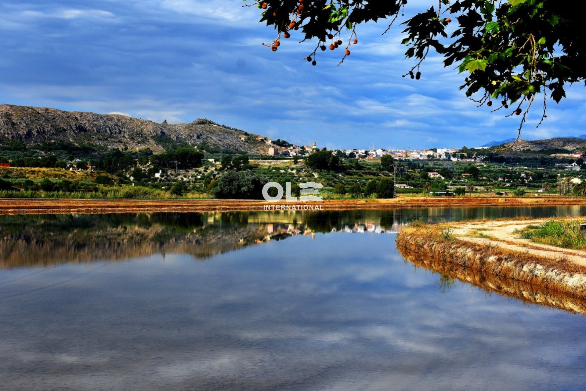 Новое здание - Villa - Calasparra - Coto Riñales