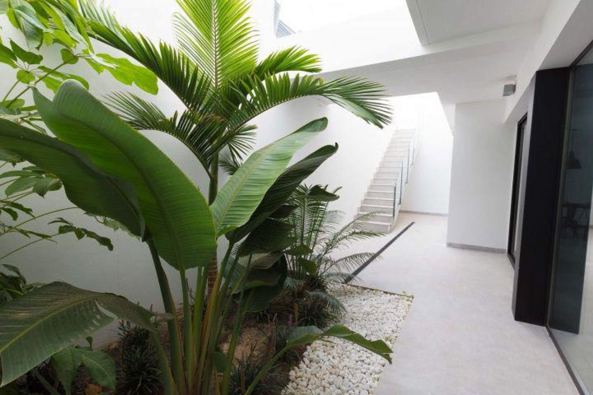 Новое здание - Villa - Finestrat - Campana Garden