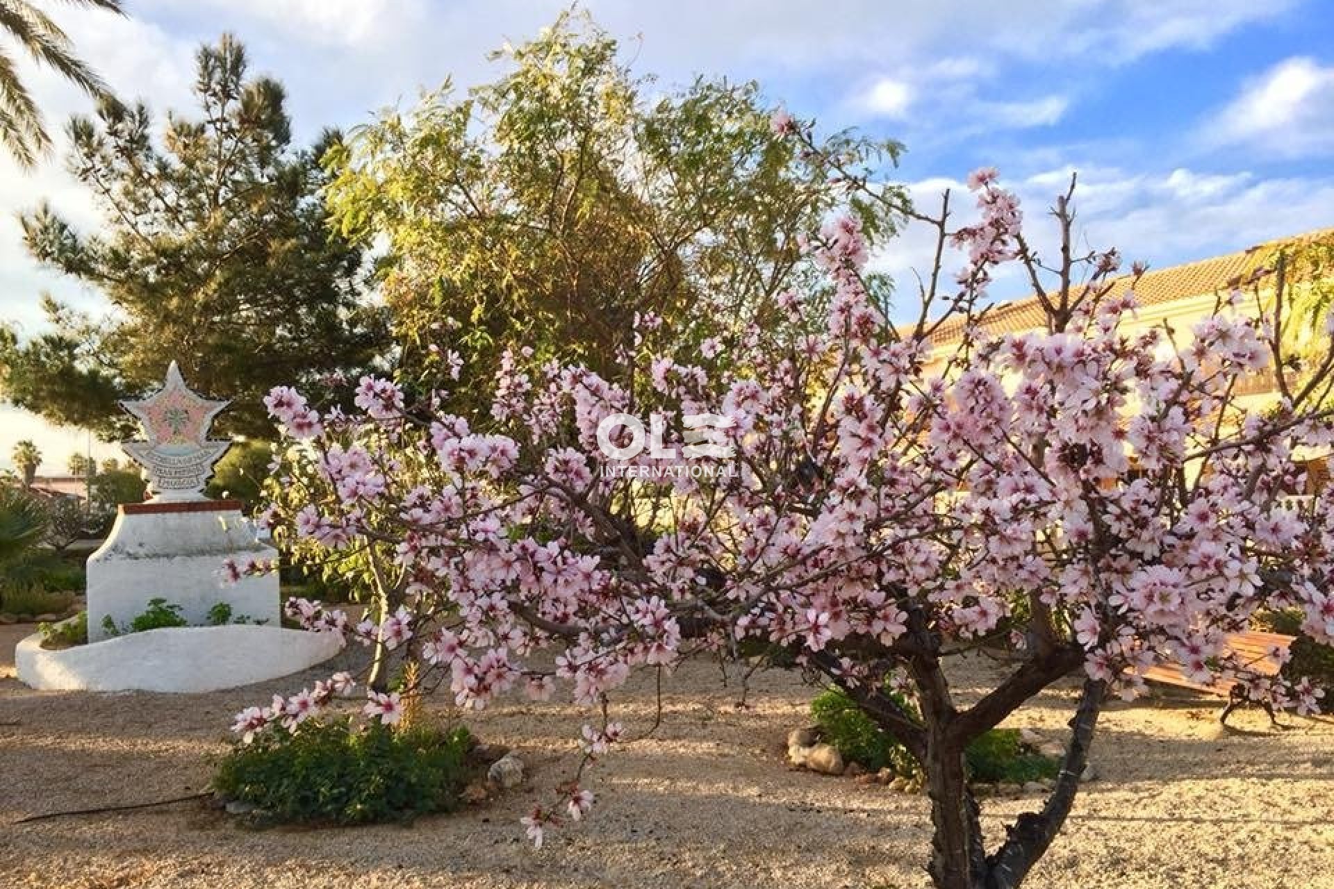 Новое здание - Villa - Los Urrutias - Estrella De Mar