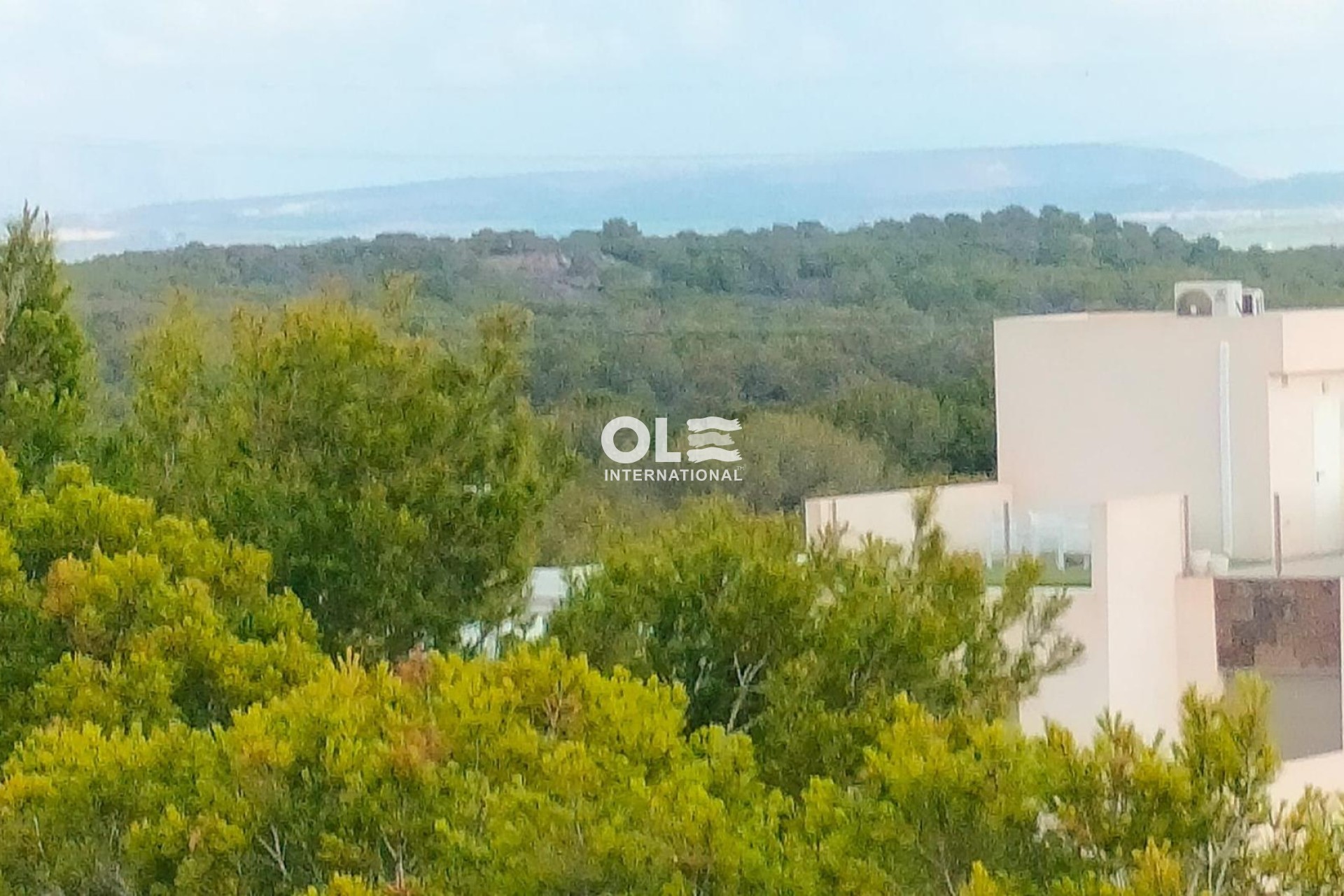 Новое здание - Villa - Orihuela Costa - PAU 26