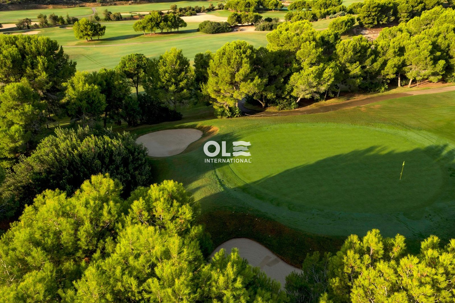 Новое здание - Villa - Pilar de la Horadada - Lo Romero Golf