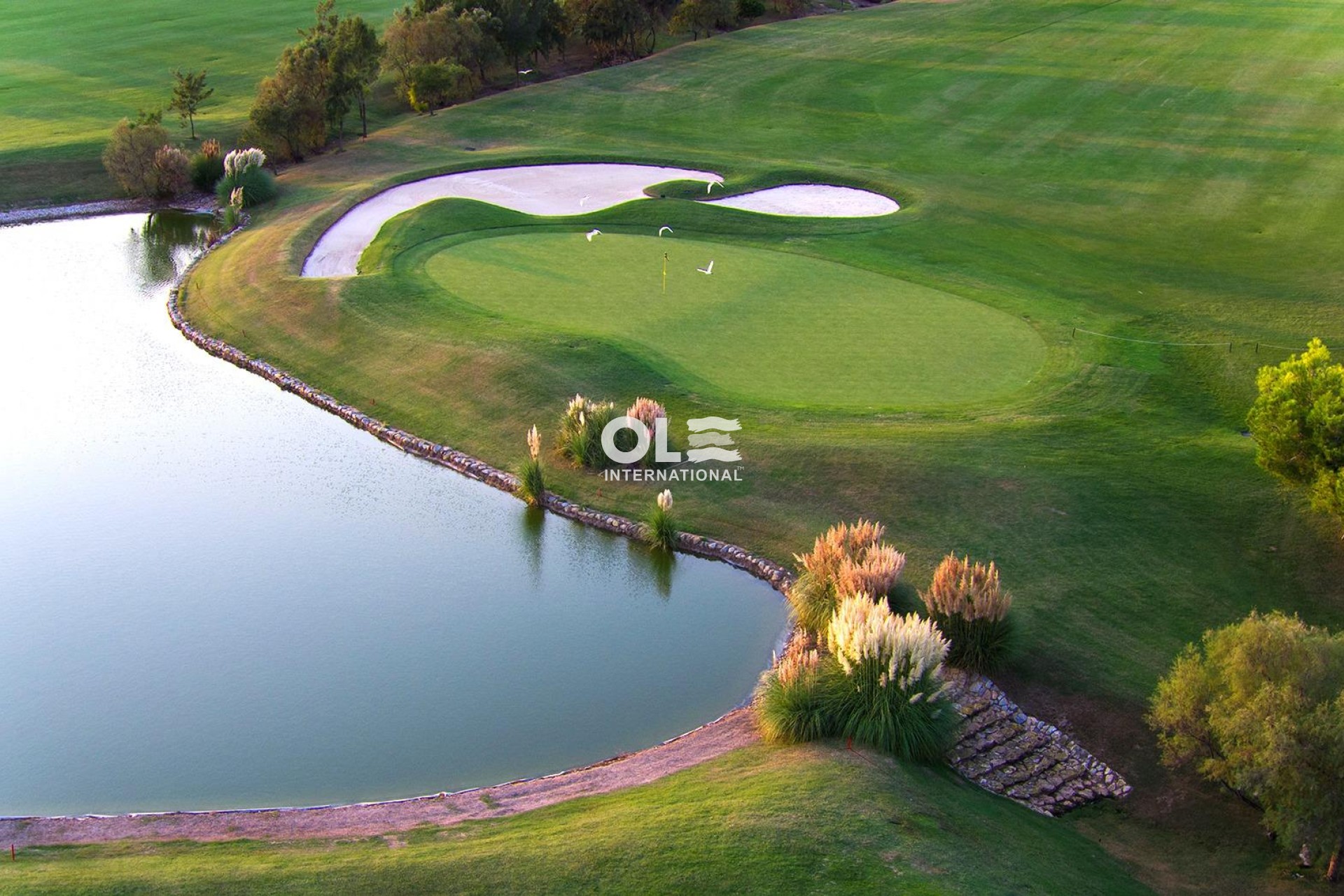 Новое здание - Villa - Pilar de la Horadada - Lo Romero Golf