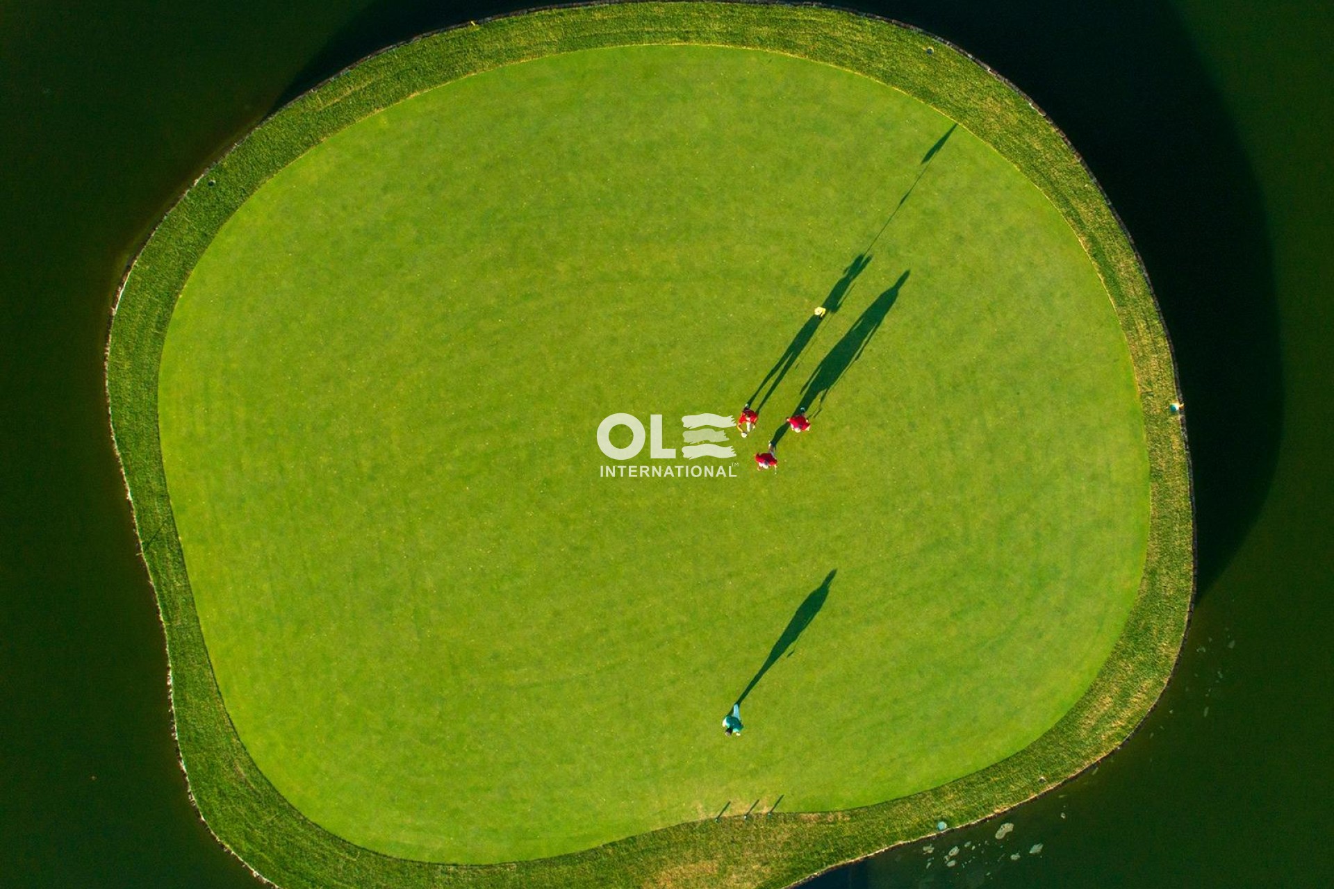 Новое здание - Villa - Pilar de la Horadada - Lo Romero Golf