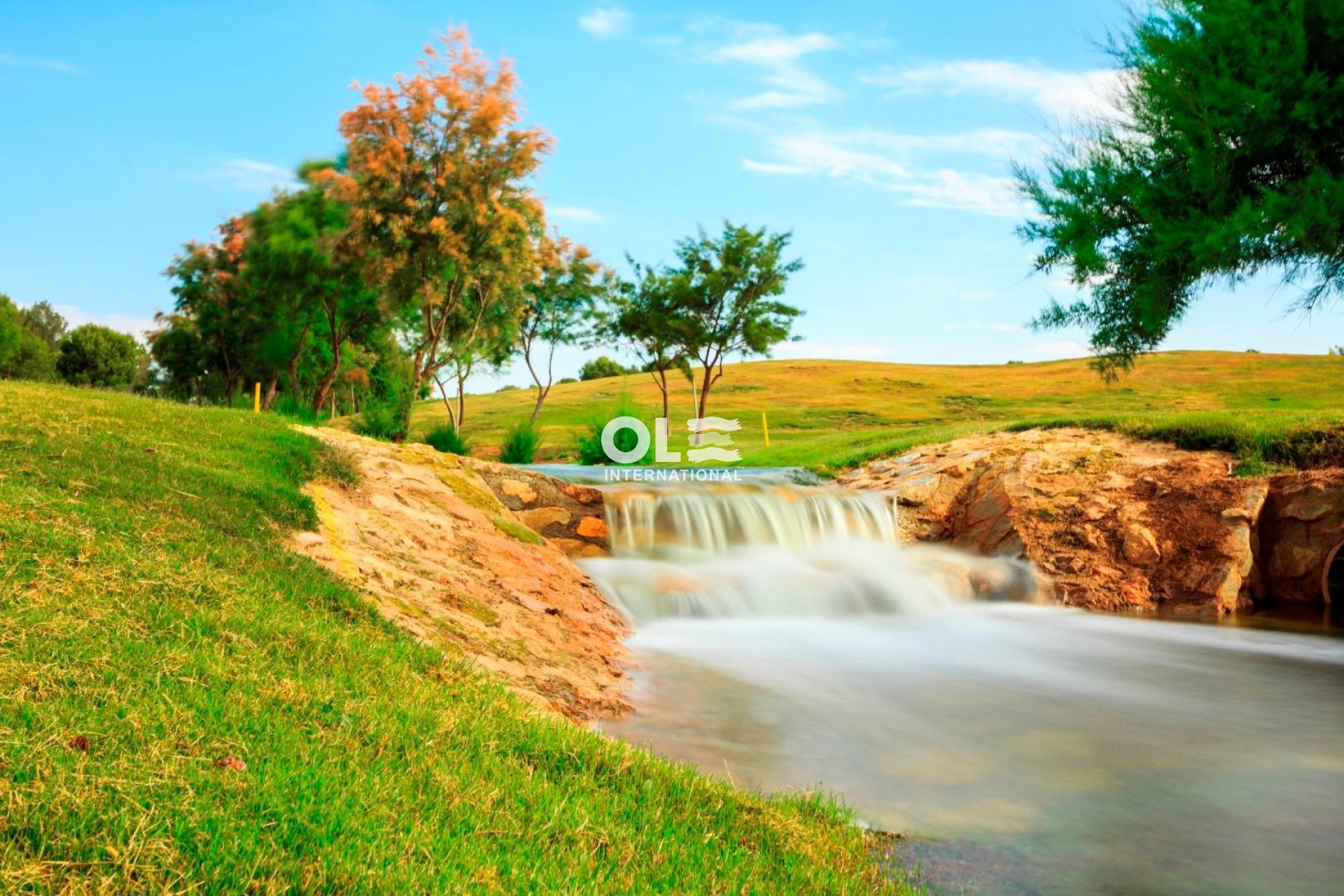 Новое здание - Villa - Pilar de la Horadada - Lo Romero Golf
