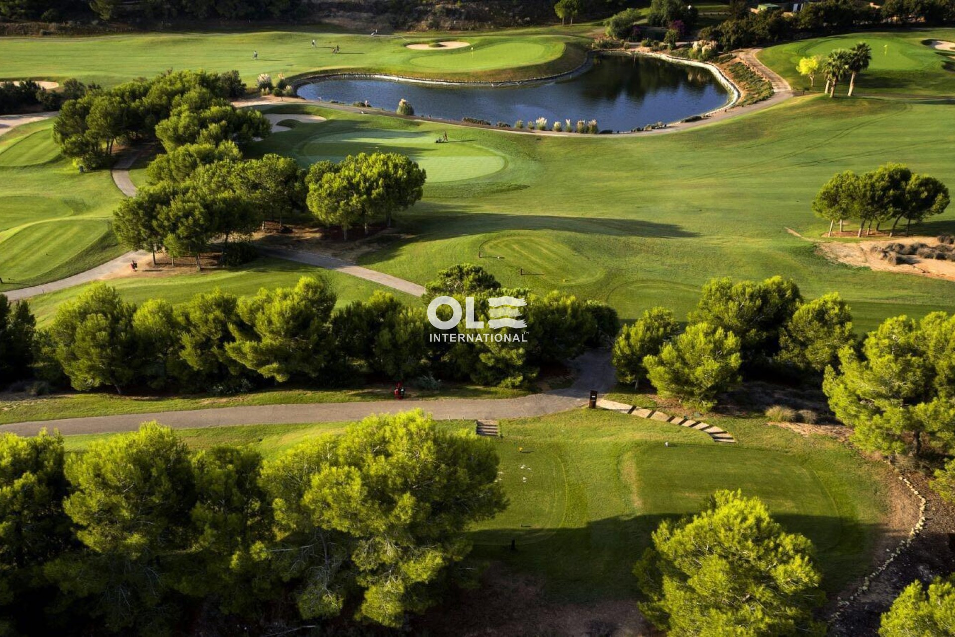 Новое здание - Villa - Pilar de la Horadada - Lo Romero Golf