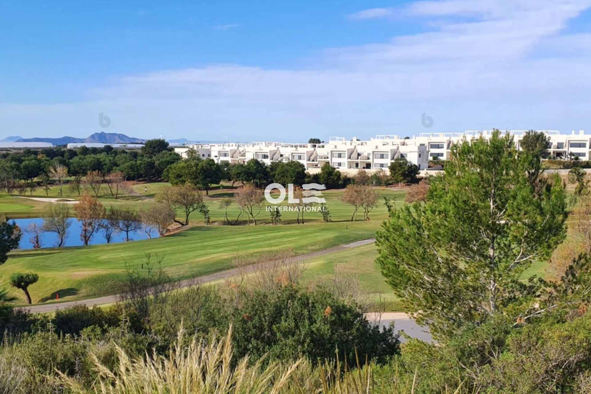 Новое здание - Villa - Pilar de la Horadada - Lo Romero Golf