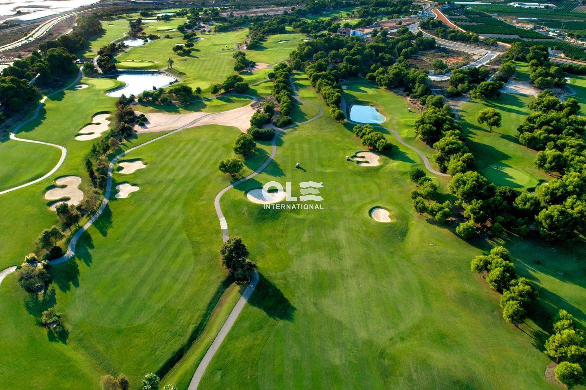Новое здание - Villa - Pilar de la Horadada - Lo Romero Golf
