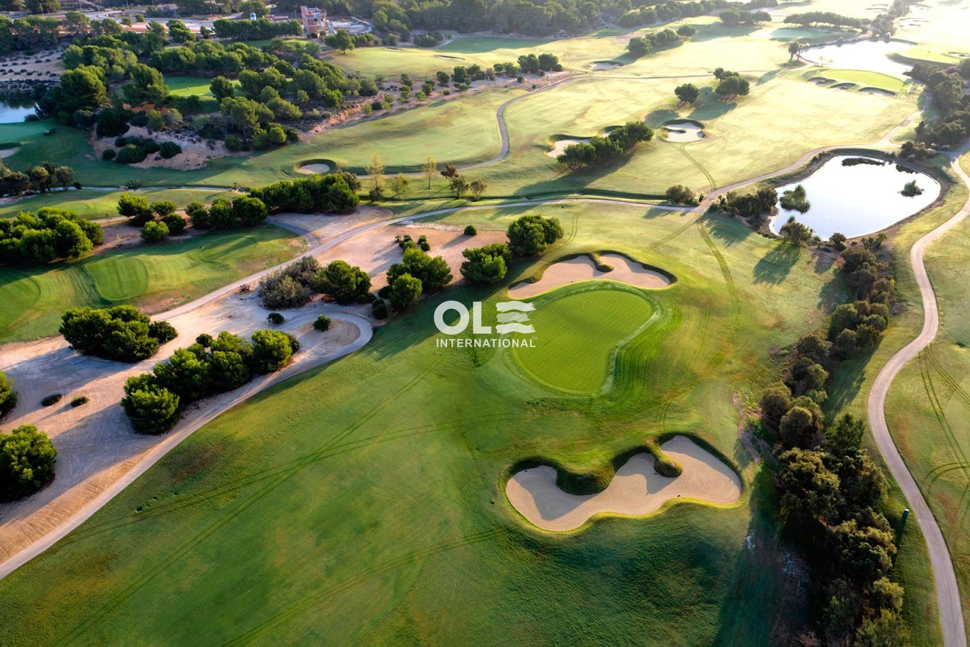 Новое здание - Villa - Pilar de la Horadada - Lo Romero Golf