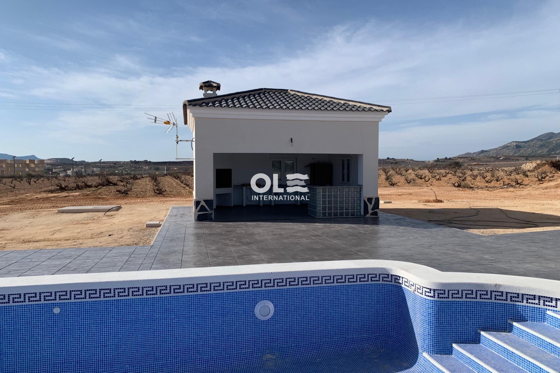 Новое здание - Villa - Pinoso - Camino Del Prado