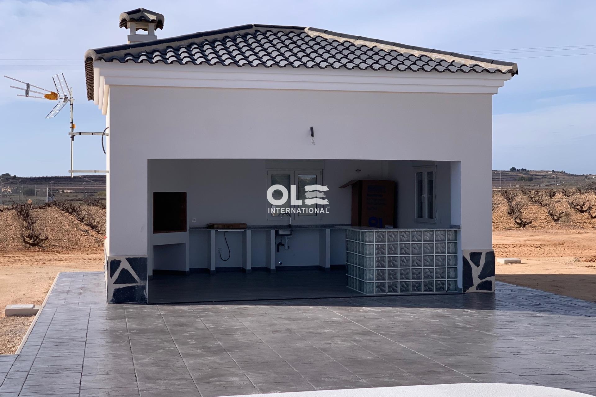 Новое здание - Villa - Pinoso - Camino Del Prado