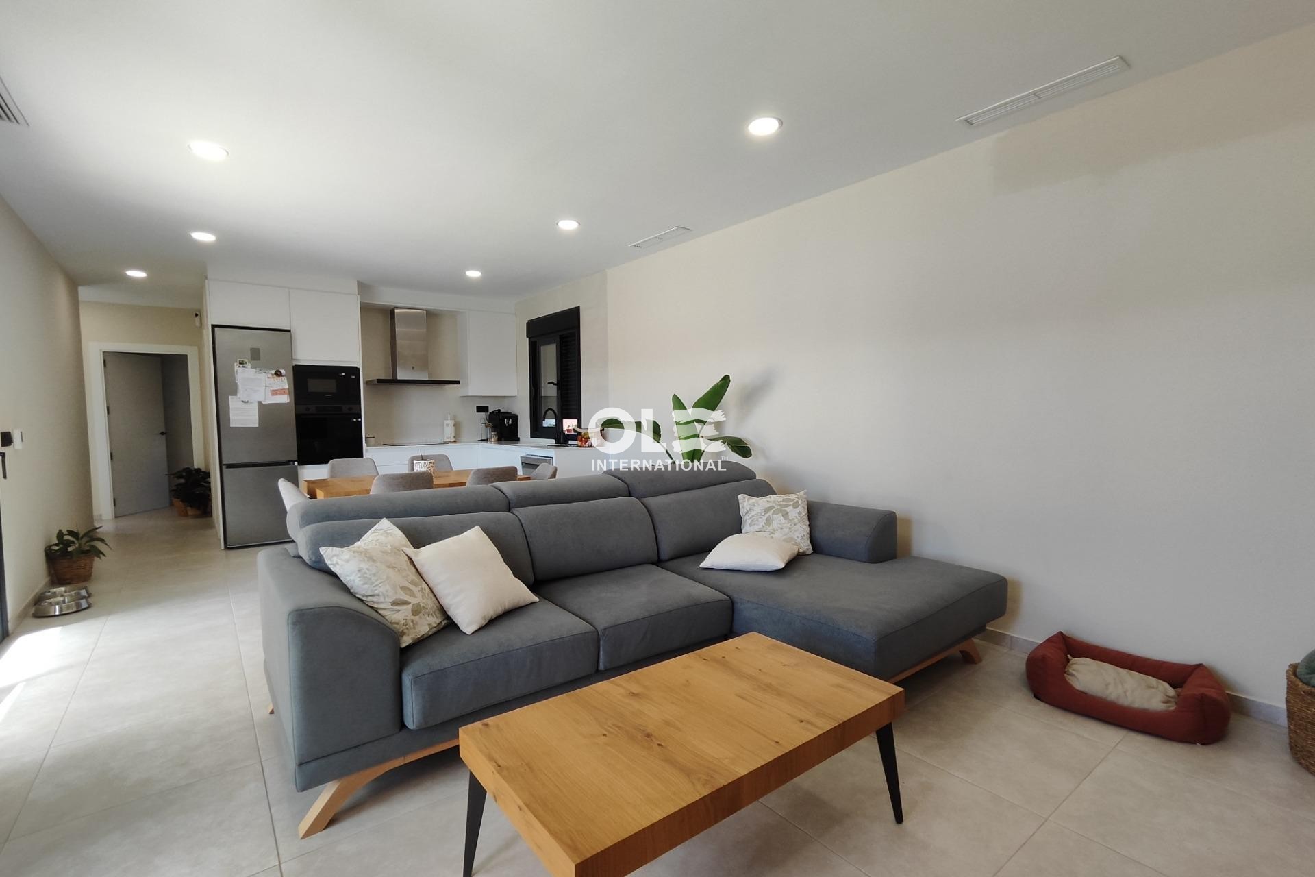 Новое здание - Villa - Pinoso - Lel
