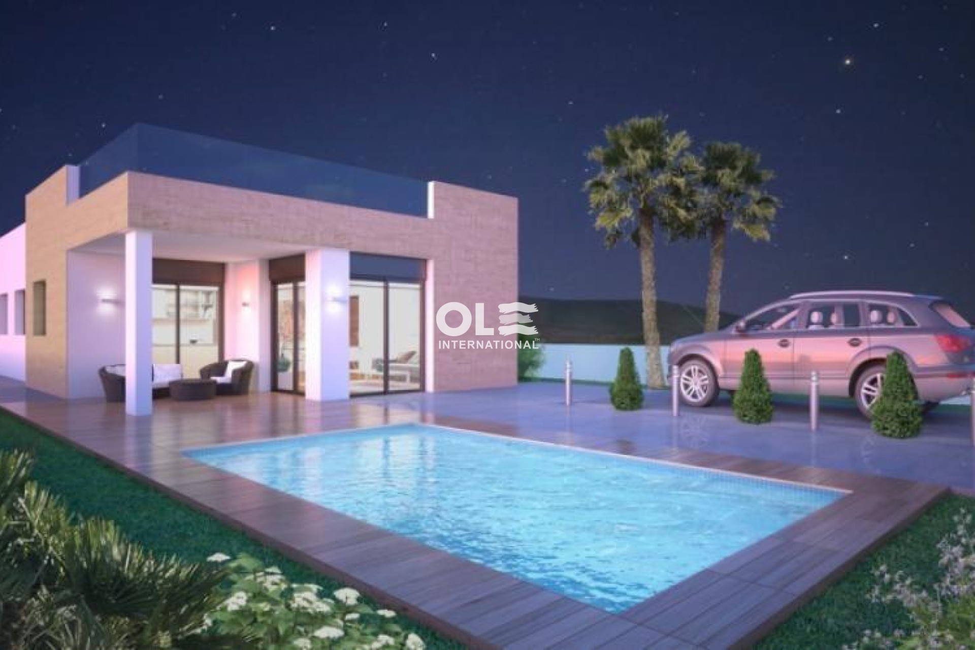 Новое здание - Villa - Pinoso - Lel