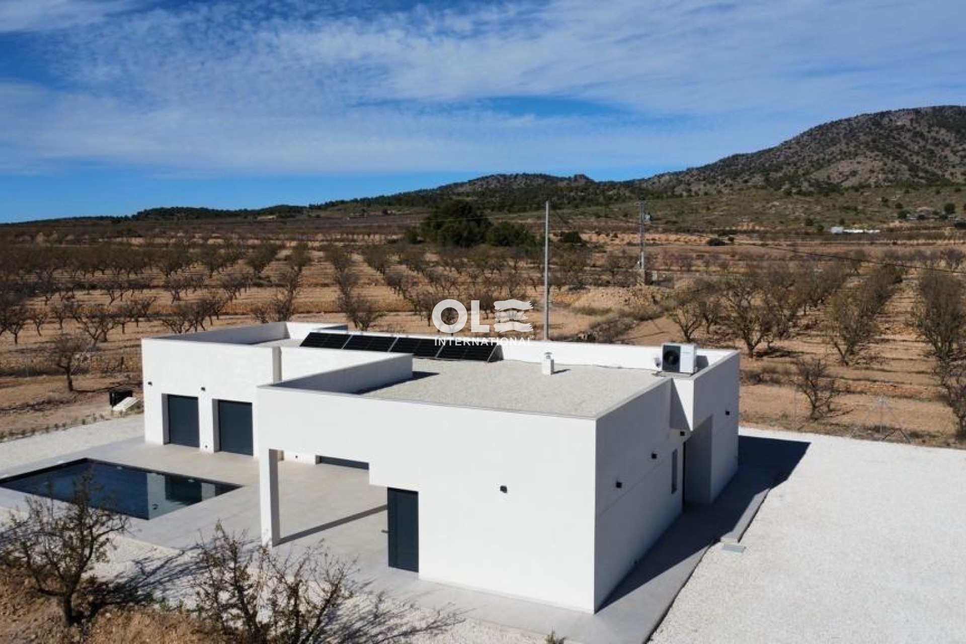Новое здание - Villa - Pinoso - Lel