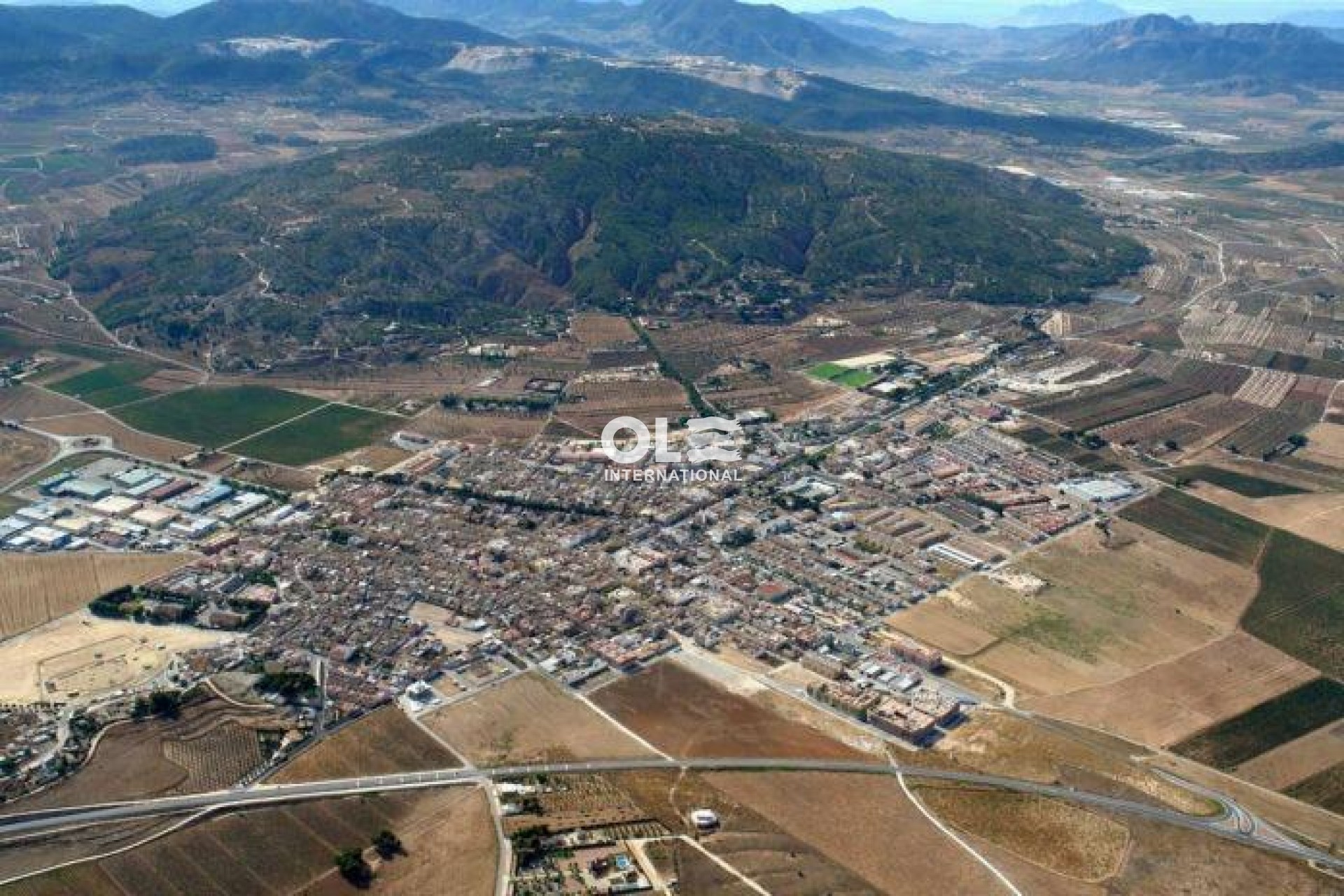 Новое здание - Villa - Pinoso - Lel