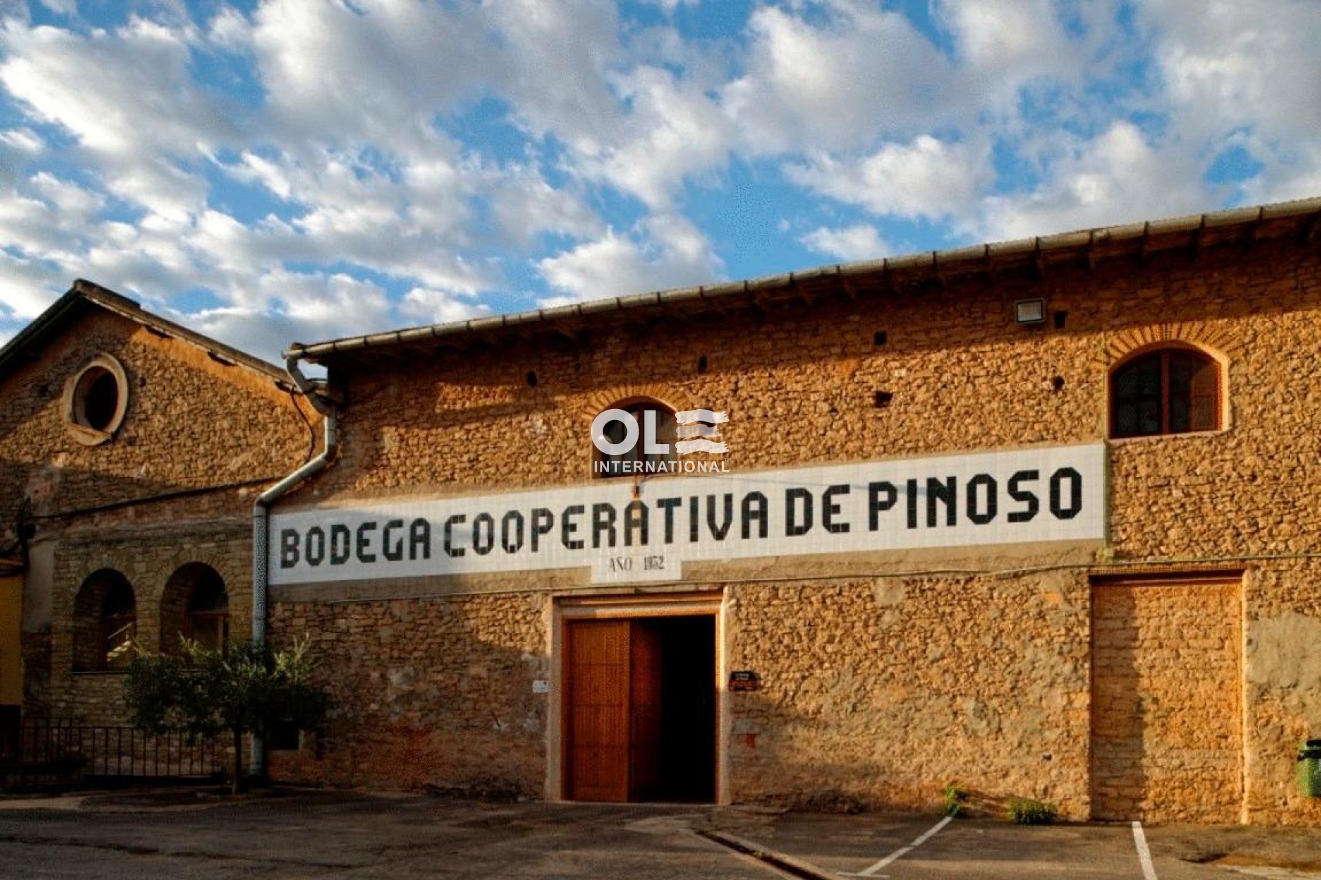 Новое здание - Villa - Pinoso - Lel