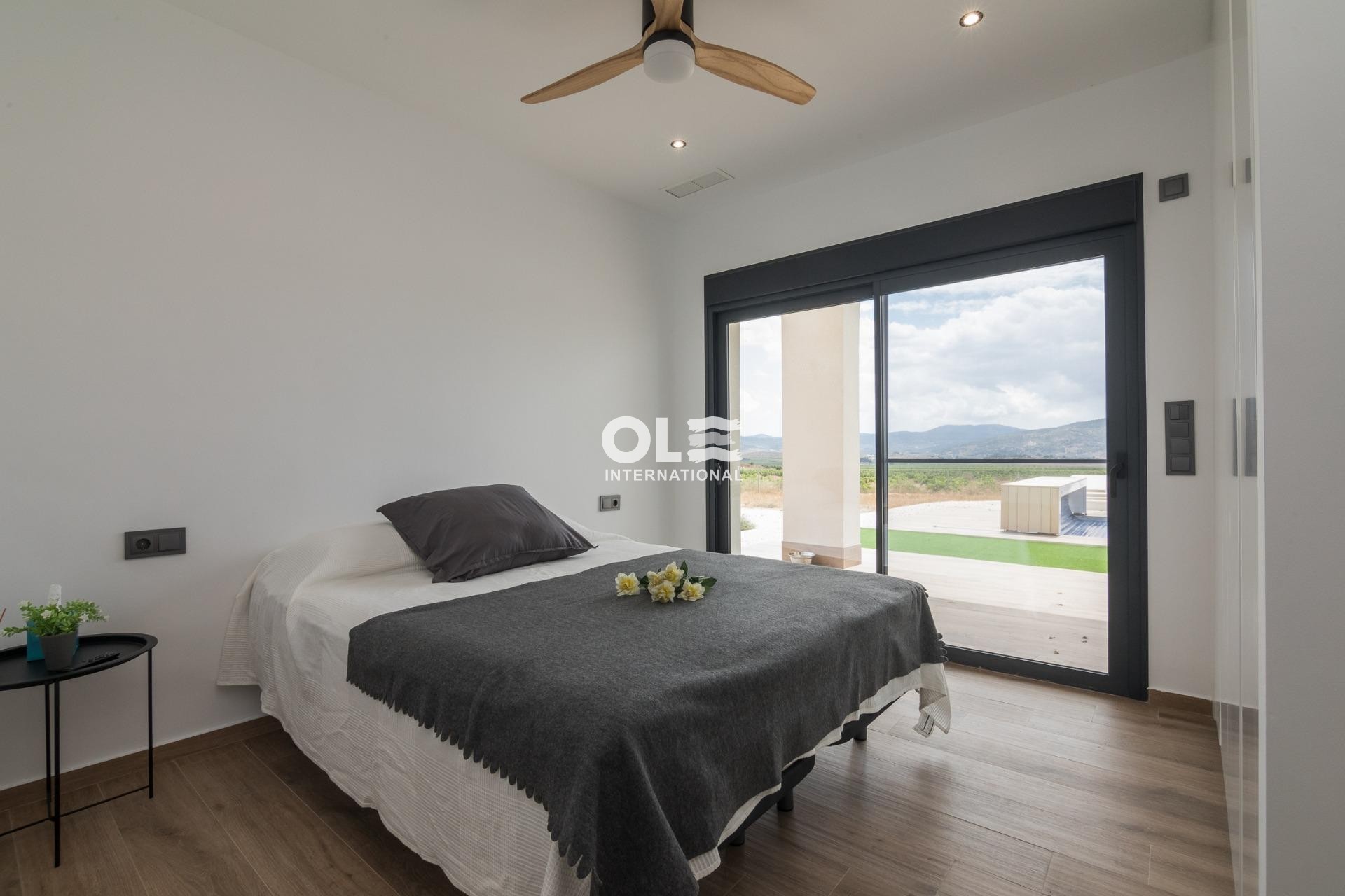 Новое здание - Villa - Pinoso - Lel