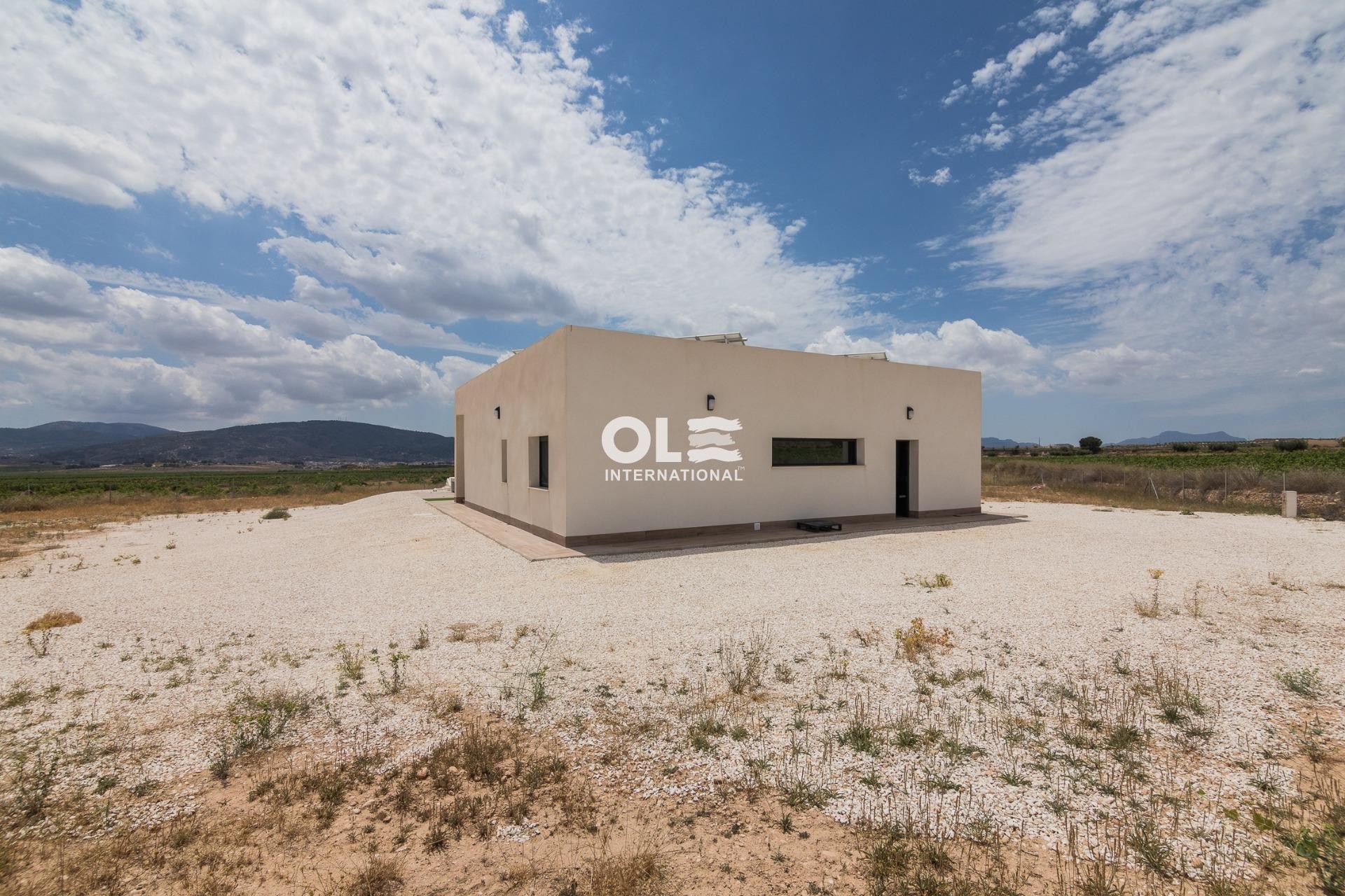 Новое здание - Villa - Pinoso - Lel