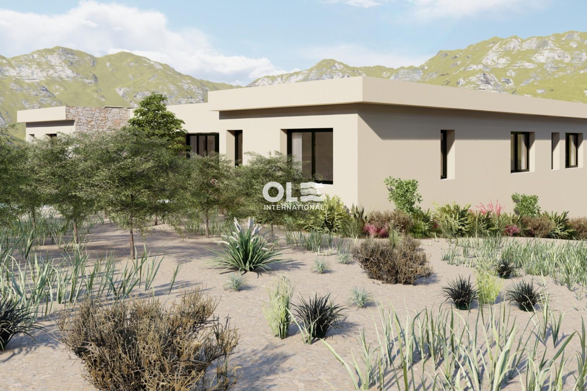 Новое здание - Villa - Yecla