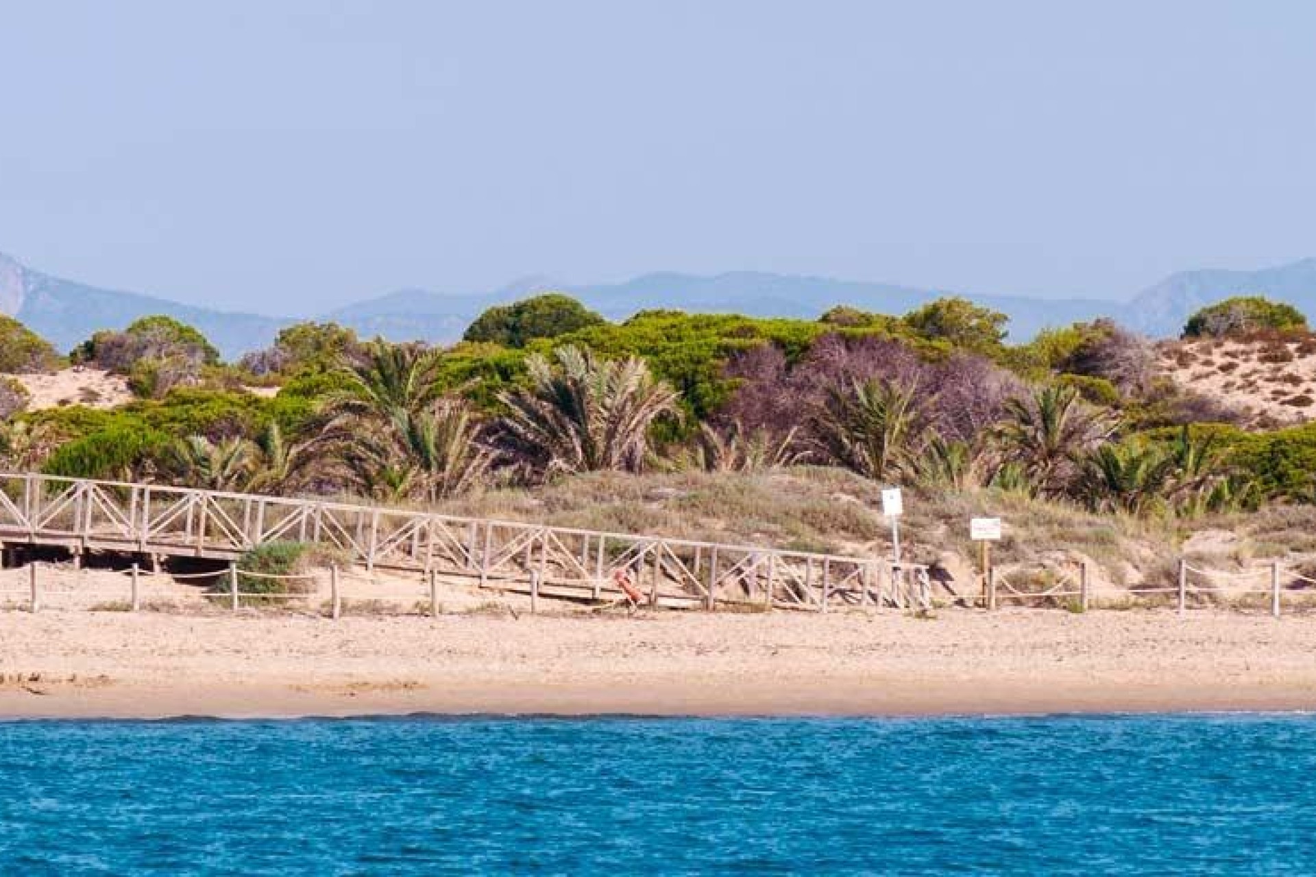 Nowy budynek - Apartment - Guardamar del Segura - Pueblo