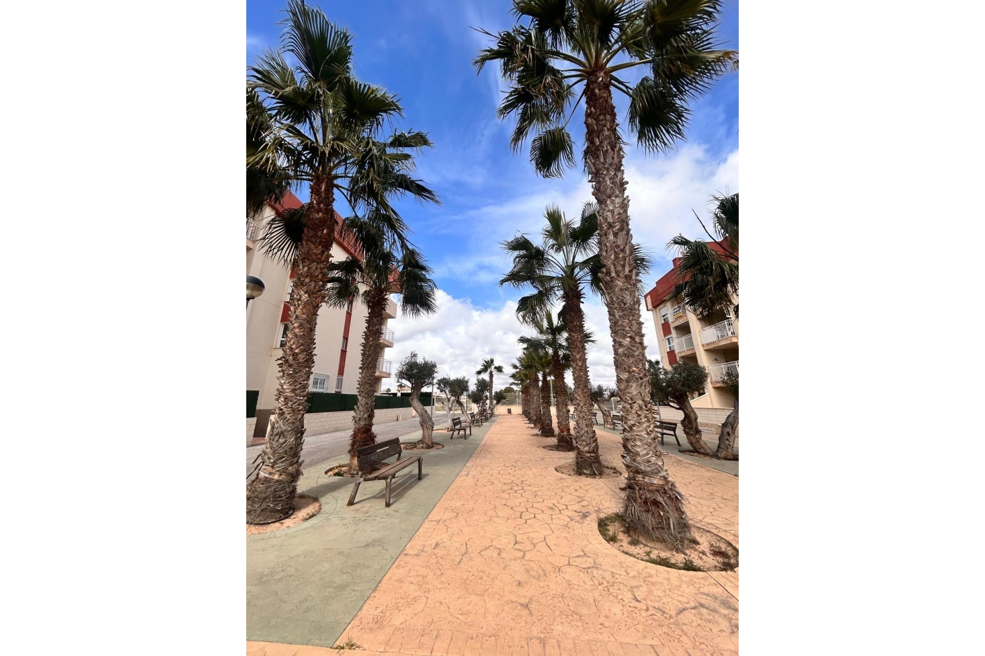 Nowy budynek - Apartment - Orihuela Costa - Lomas de Cabo Roig