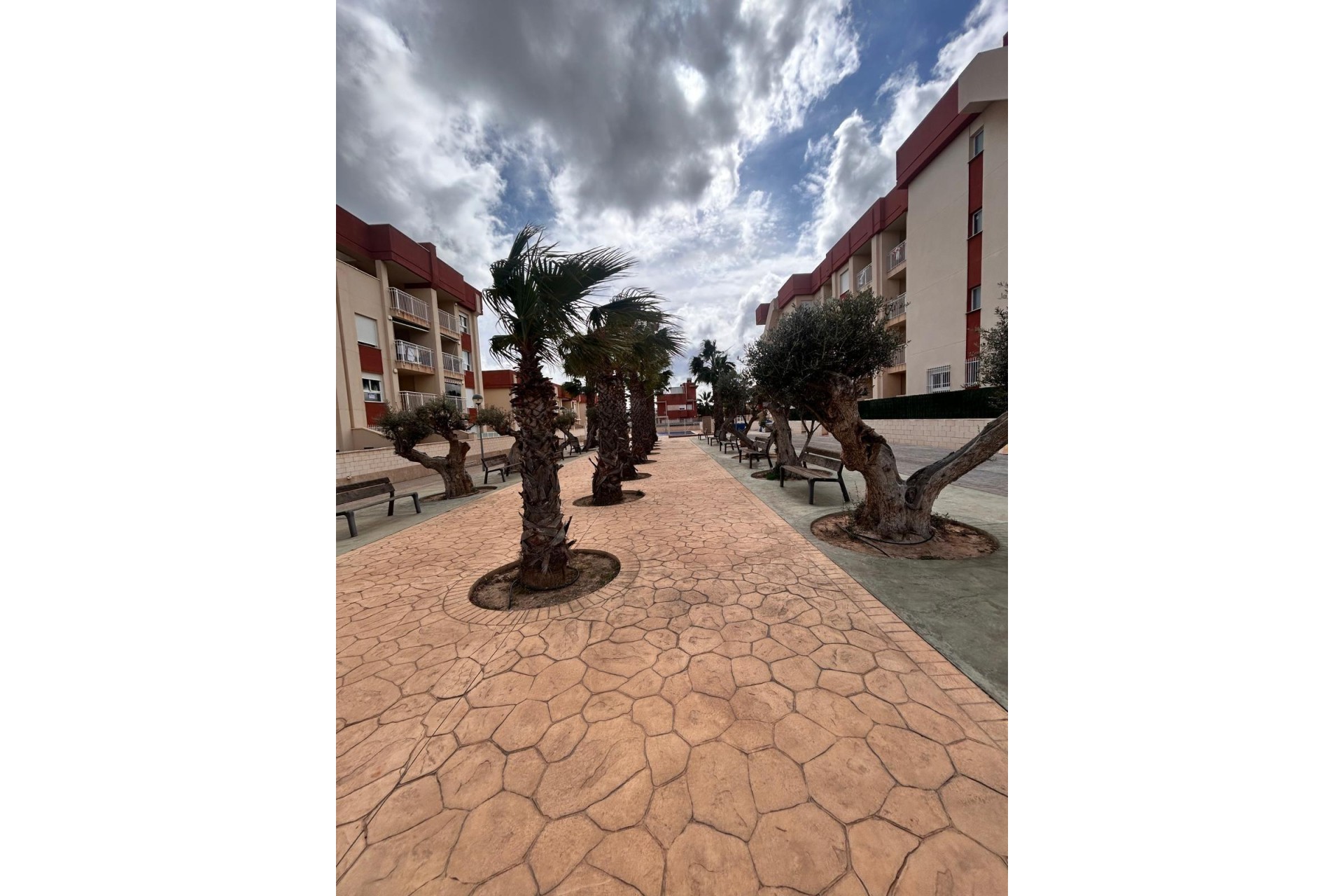 Nowy budynek - Apartment - Orihuela Costa - Lomas de Cabo Roig
