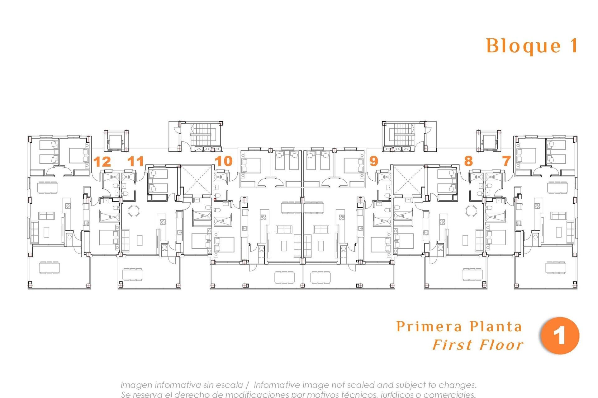 Nowy budynek - Apartment - San Miguel de Salinas - Pueblo