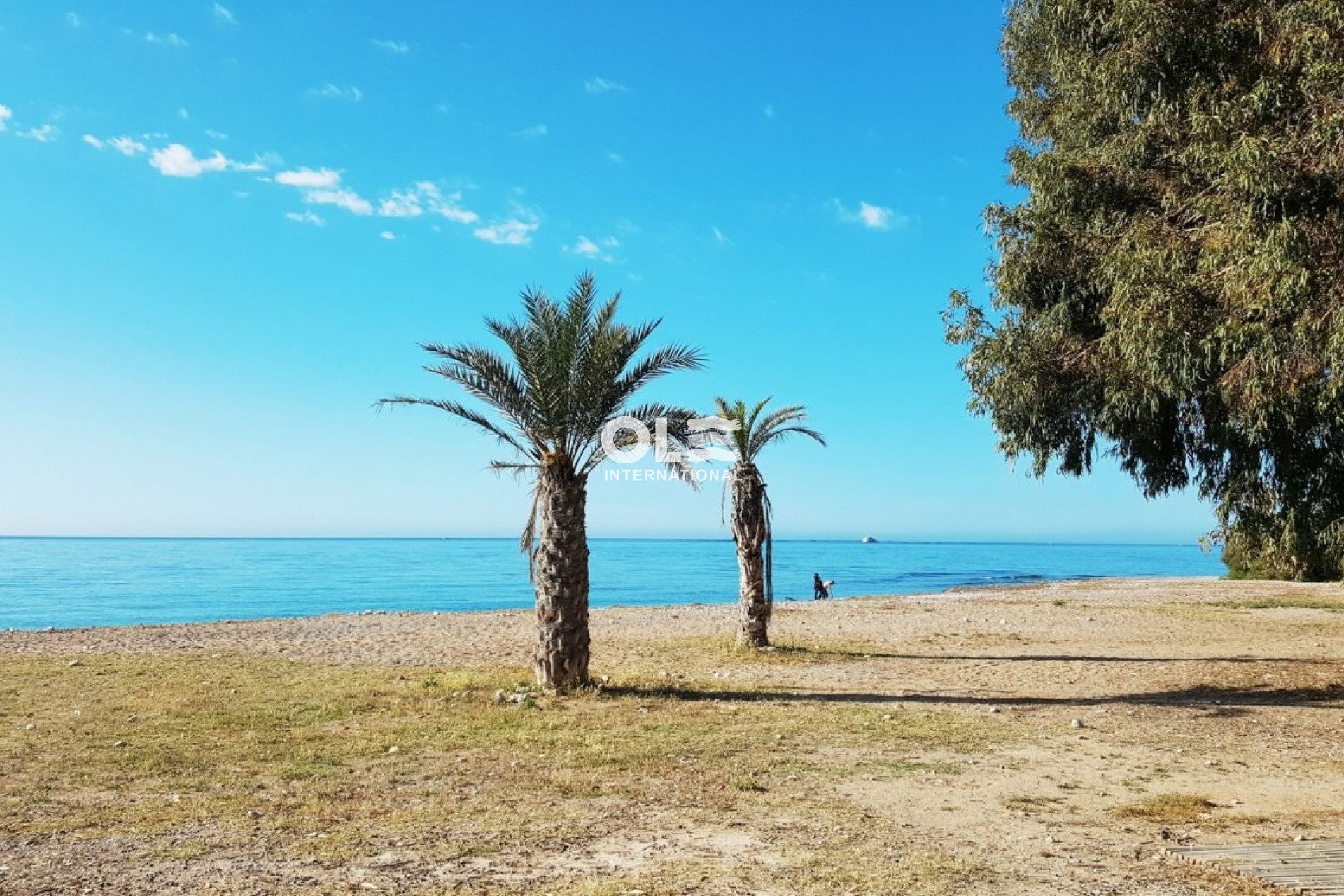 Nowy budynek - Apartment - Villajoyosa - Playa Les Torres