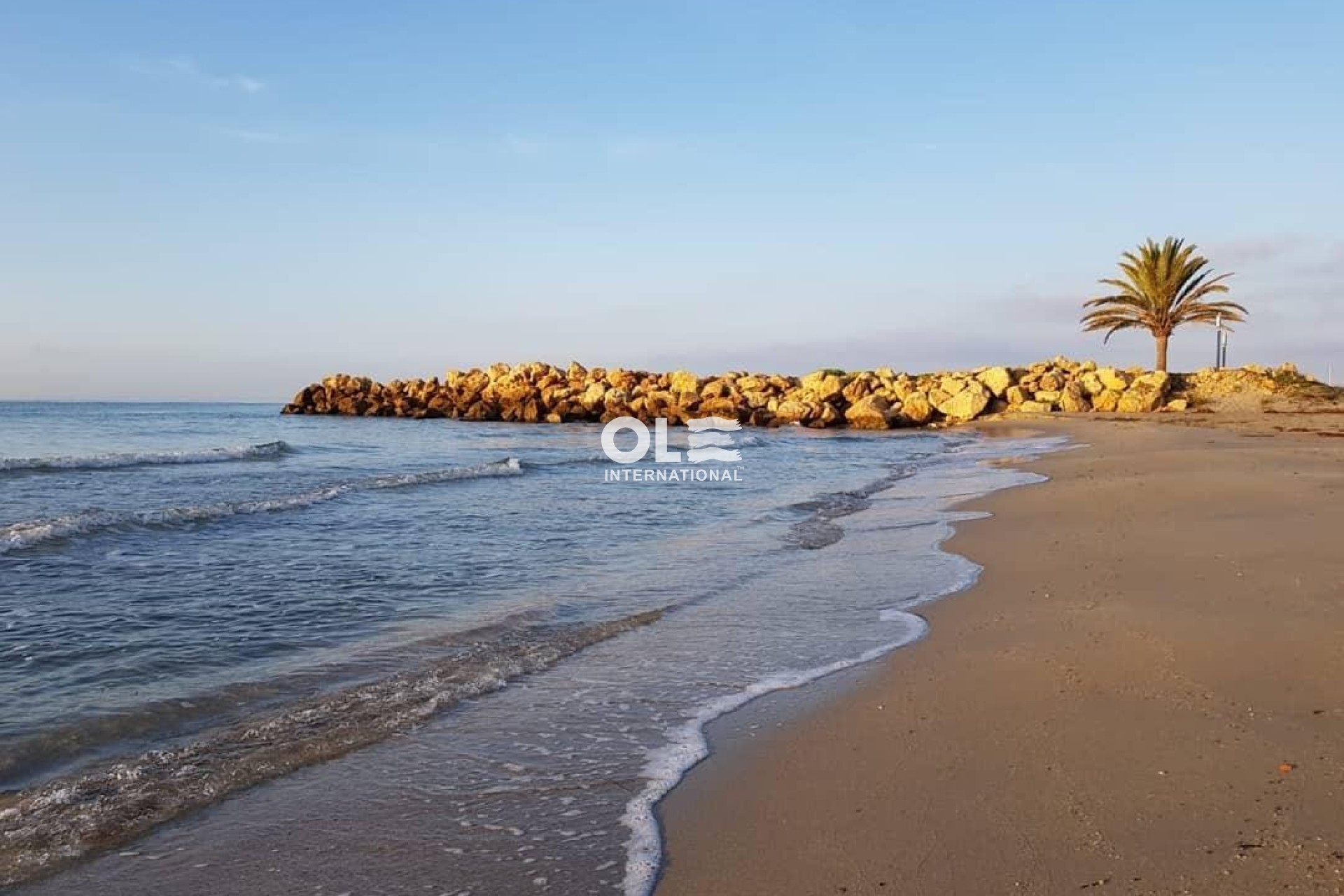 Nowy budynek - Daszek - Santa Pola - Playa Tamarit