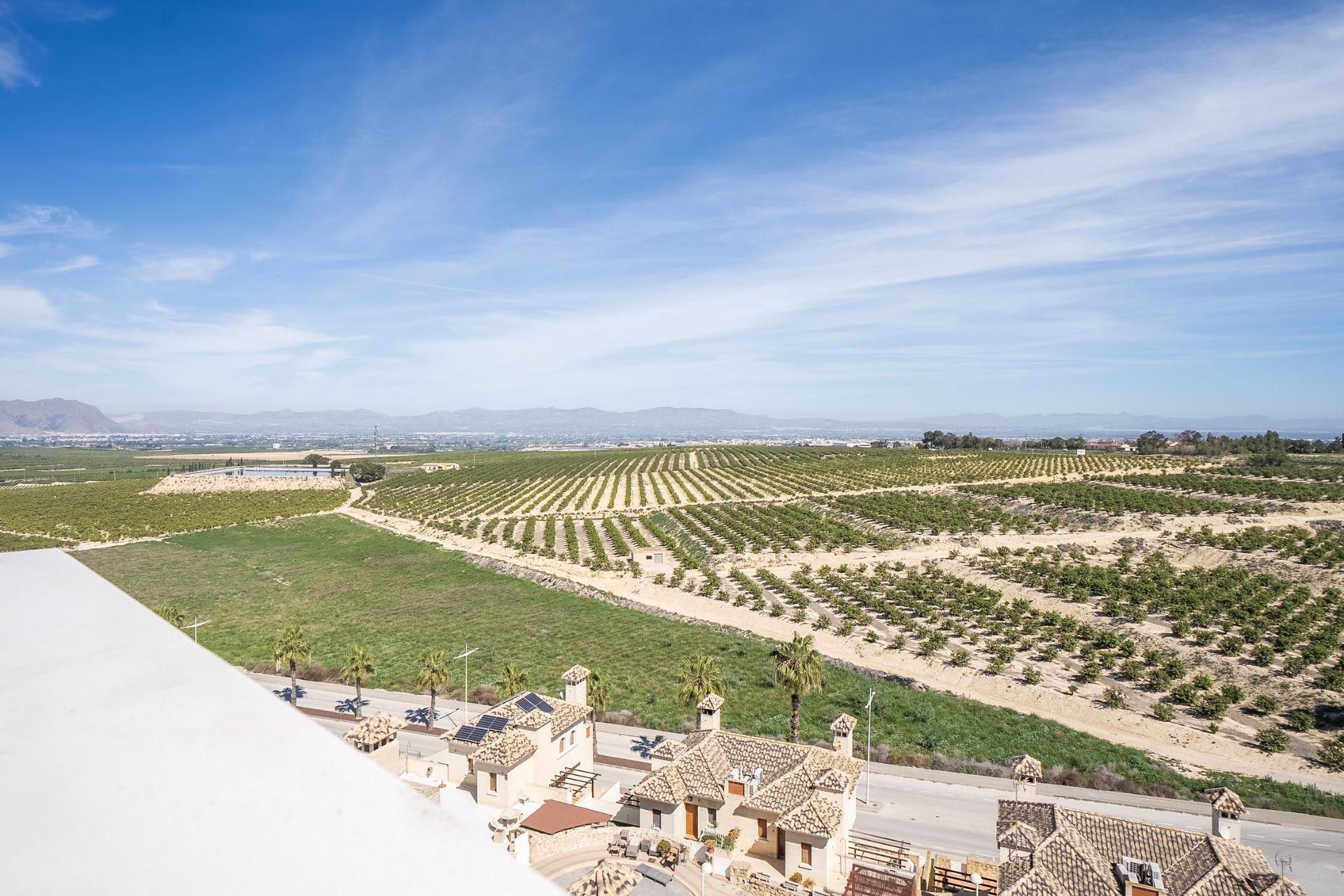 Nowy budynek - Villa - Algorfa - La Finca Golf