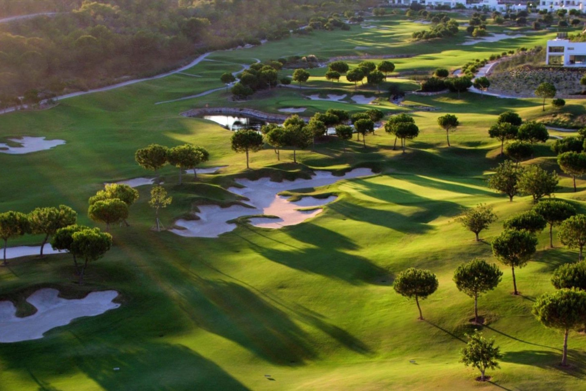 Nowy budynek - Villa - Orihuela Costa - Las Colinas Golf
