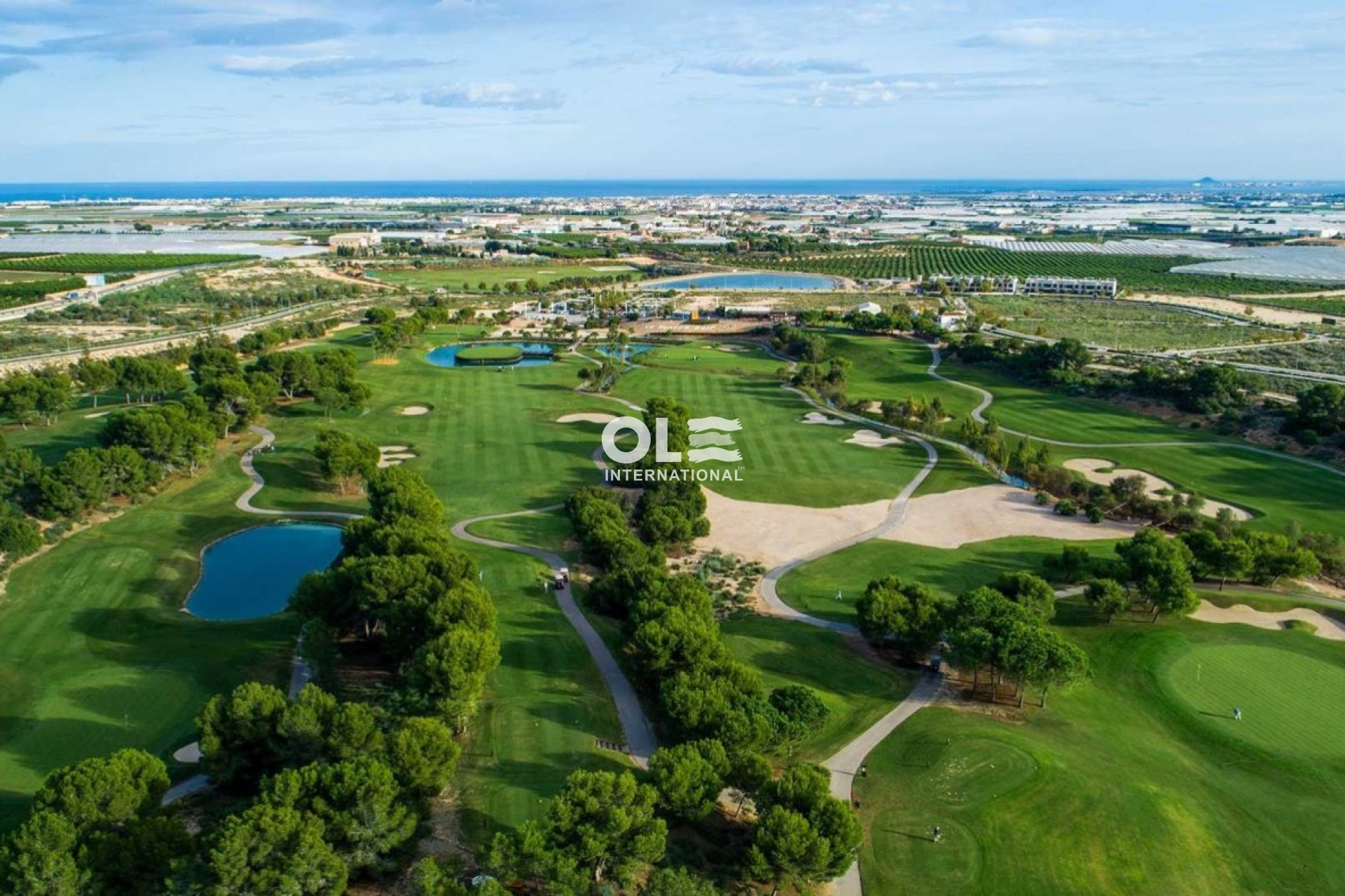 Nowy budynek - Villa - Pilar de la Horadada - Lo Romero Golf