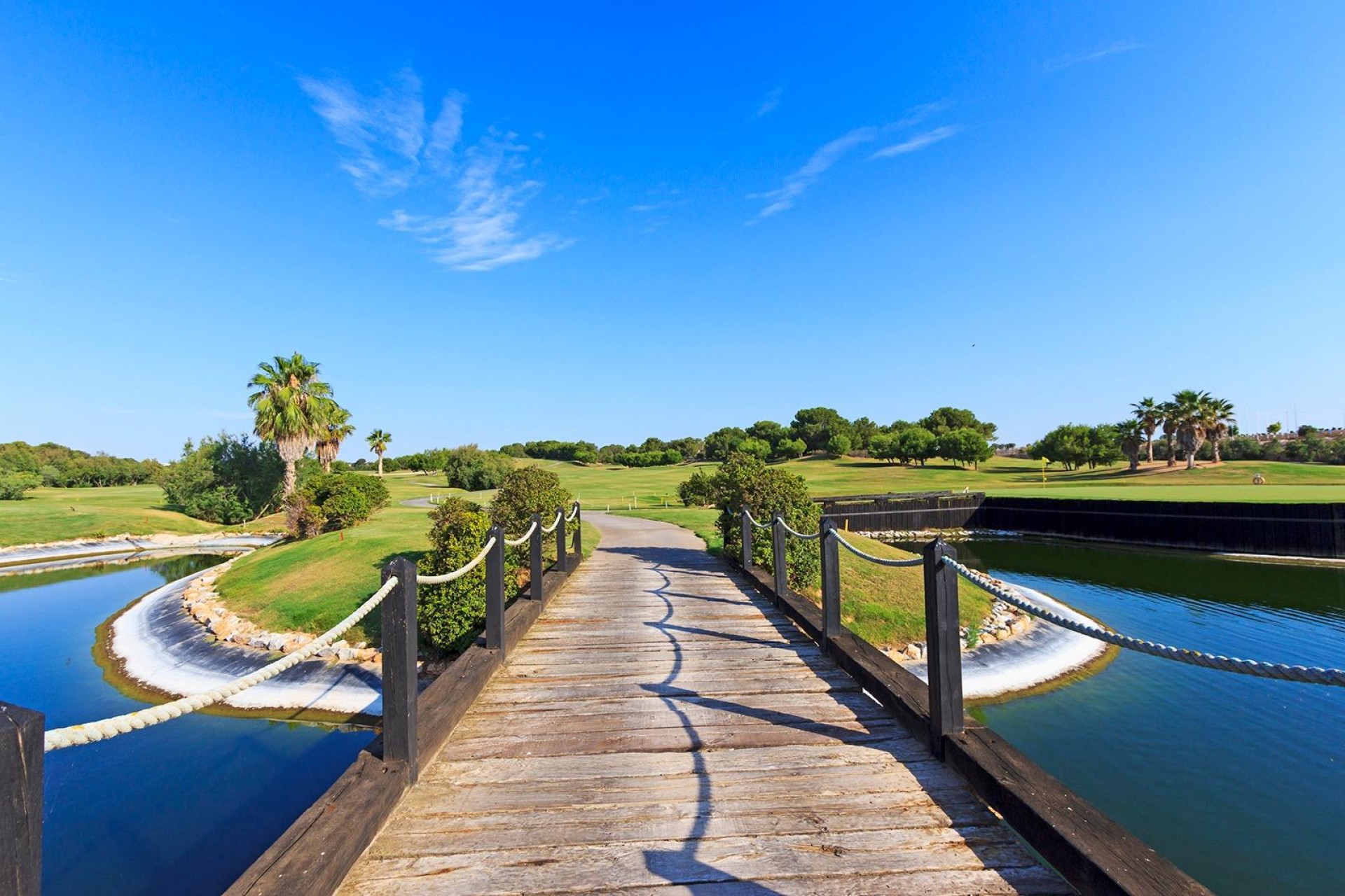 Nowy budynek - Villa - Pilar de la Horadada - Lo Romero Golf