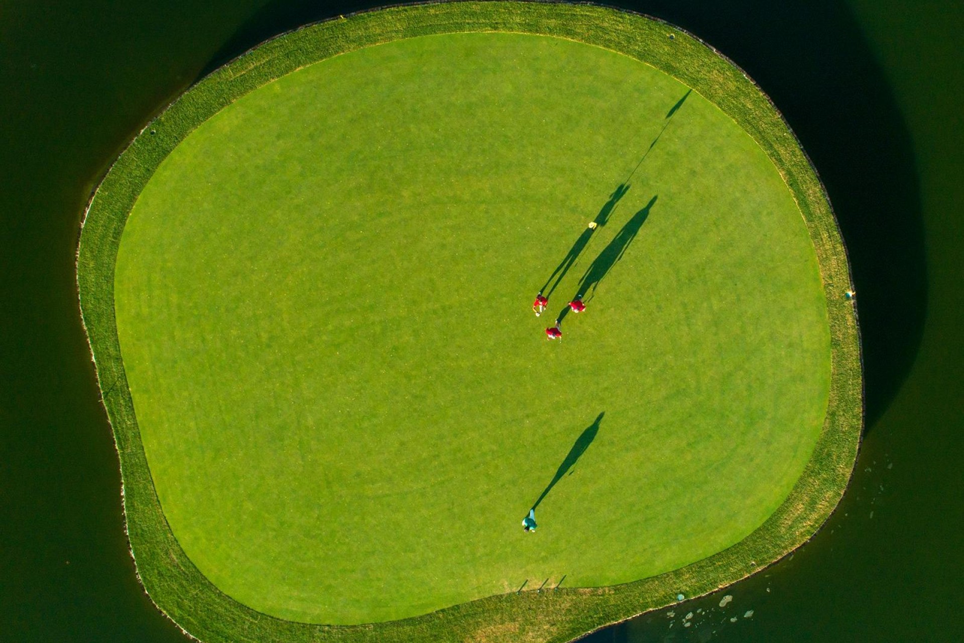 Nowy budynek - Villa - Pilar de la Horadada - Lo Romero Golf