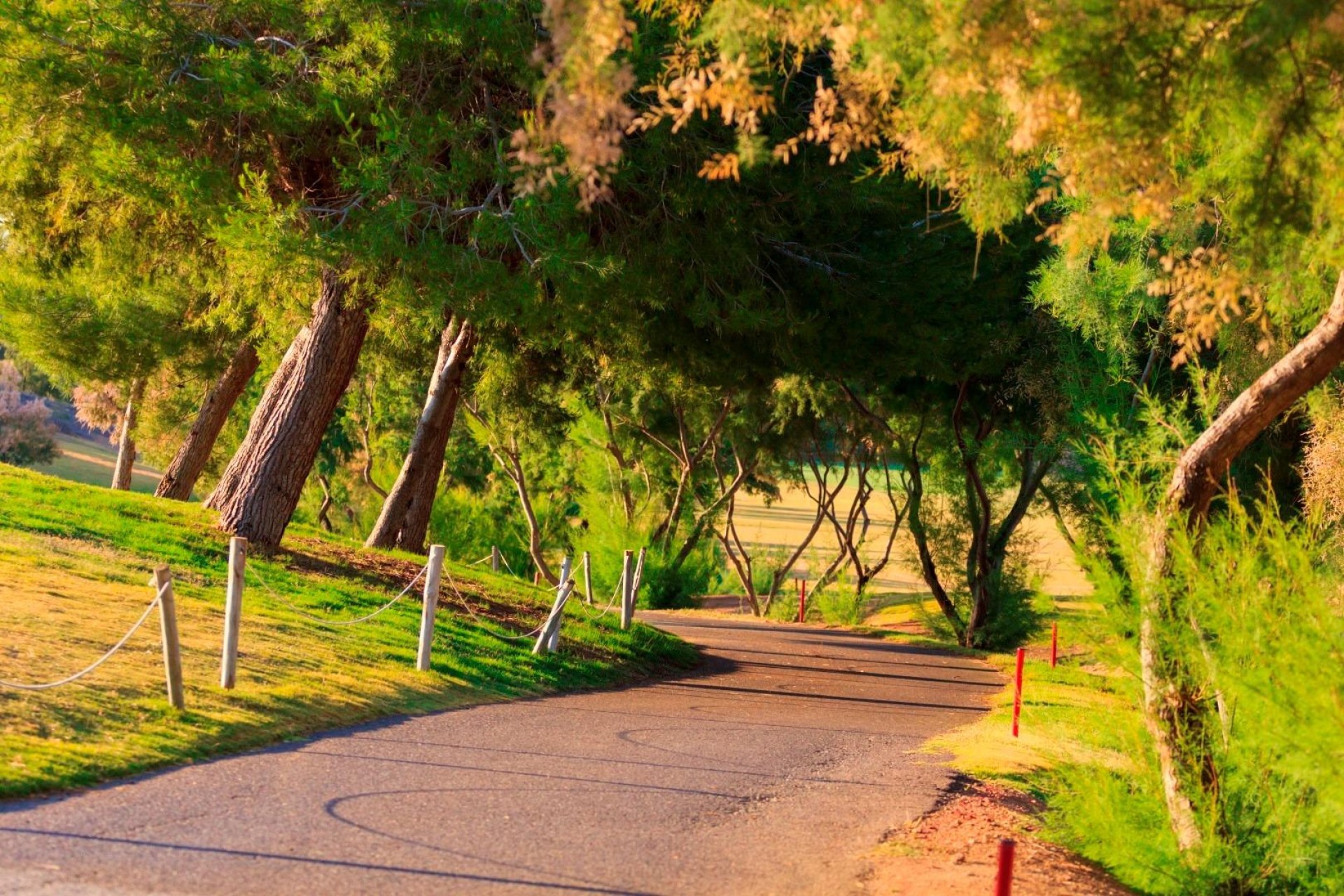 Nowy budynek - Villa - Pilar de la Horadada - Lo Romero Golf