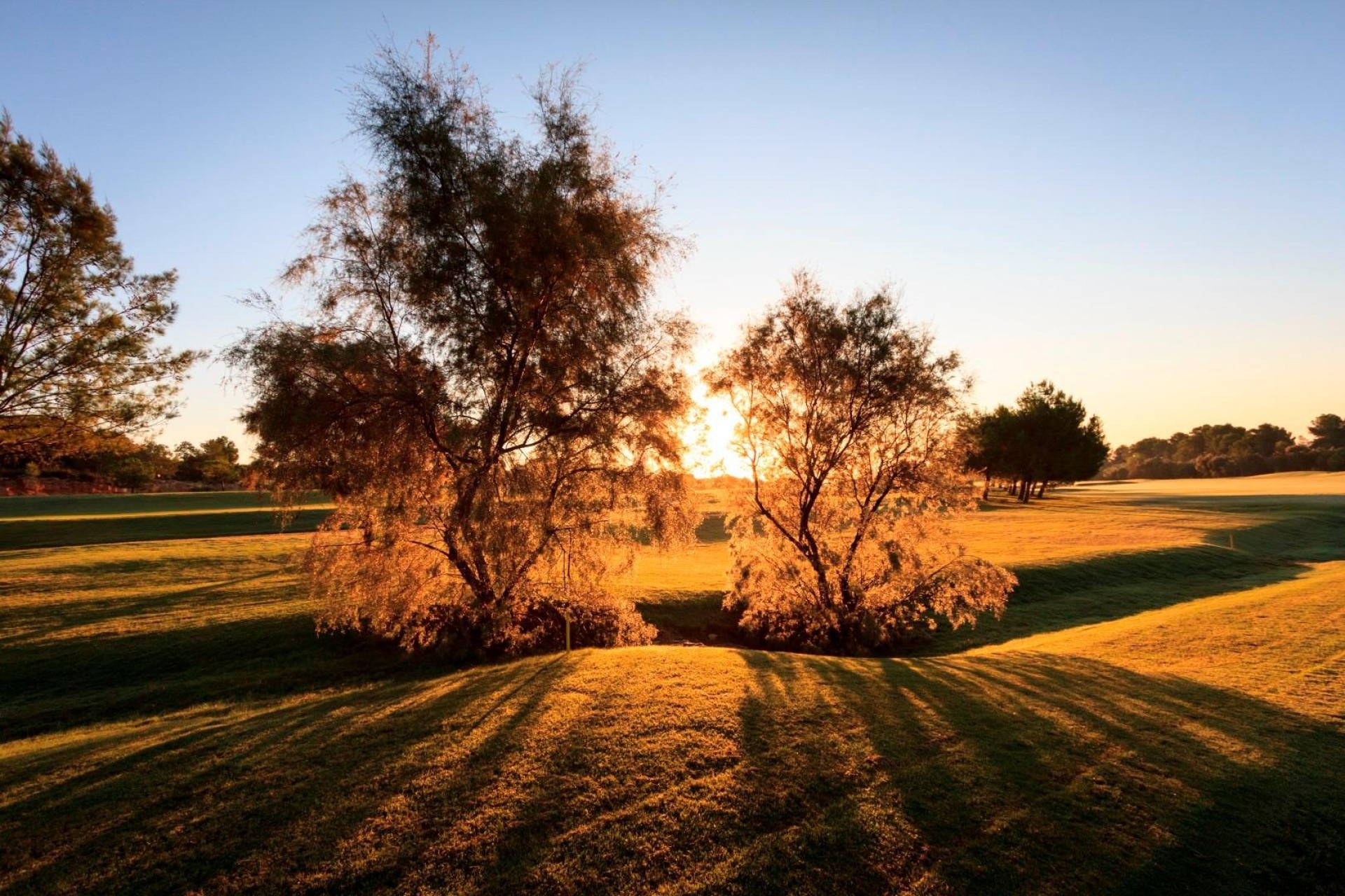 Nowy budynek - Villa - Pilar de la Horadada - Lo Romero Golf
