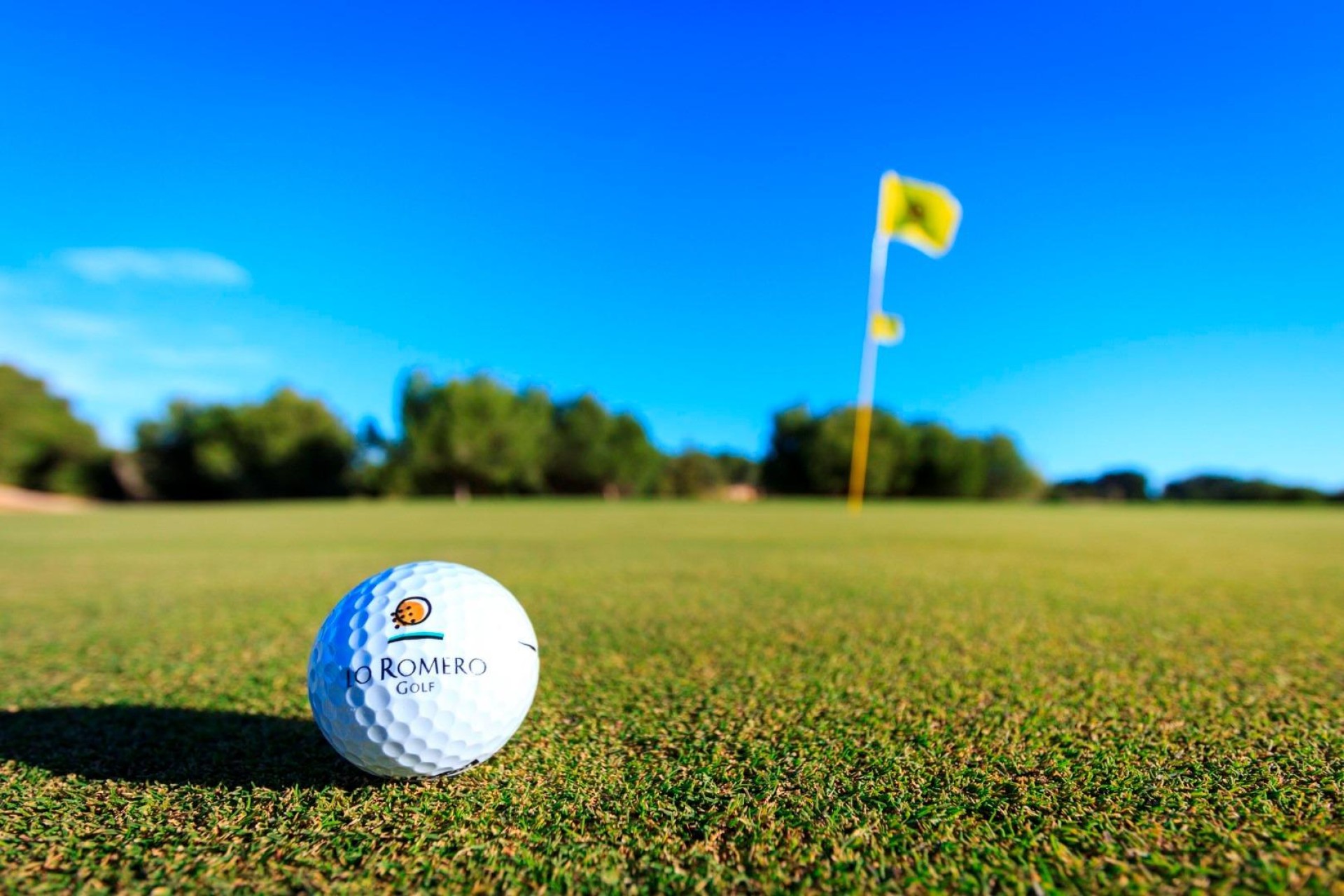 Nowy budynek - Villa - Pilar de la Horadada - Lo Romero Golf
