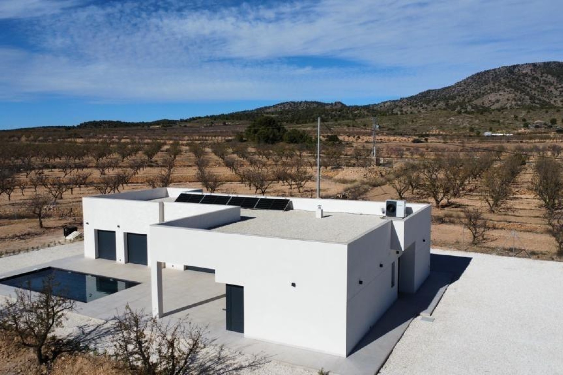 Nowy budynek - Villa - Pinoso - Lel
